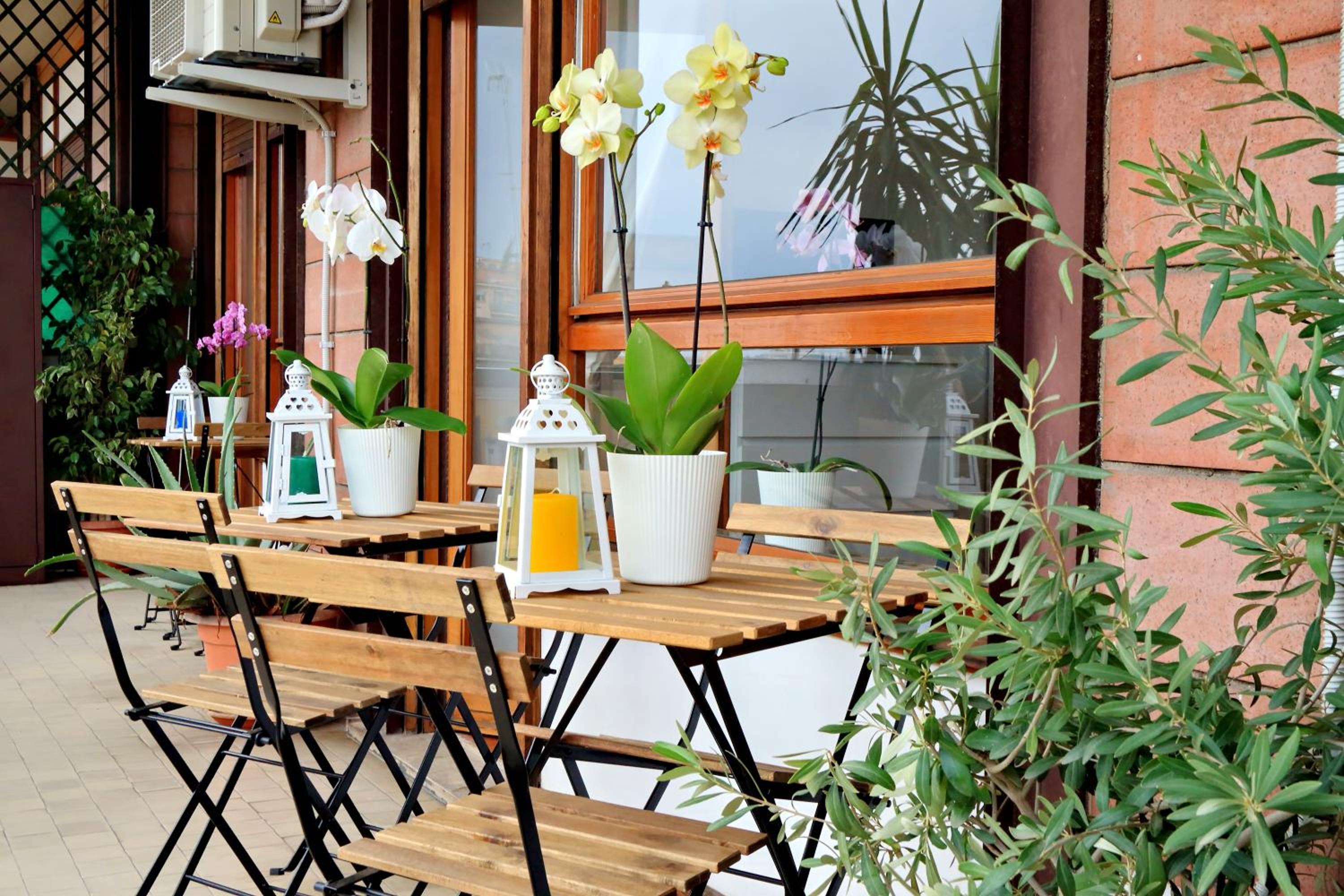 balance & terrace