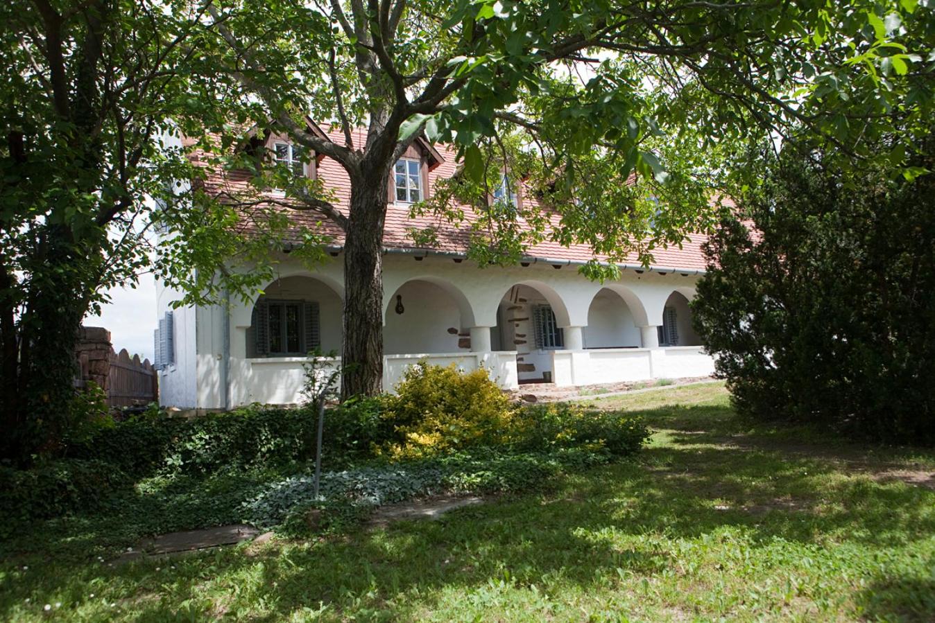 Photo 47