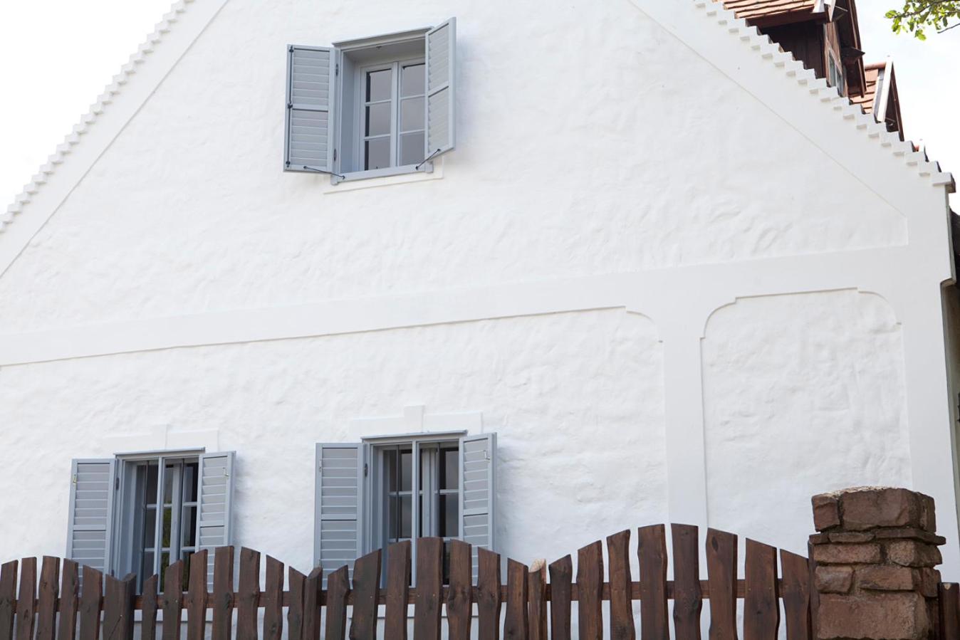 Grand Balaton House view 5