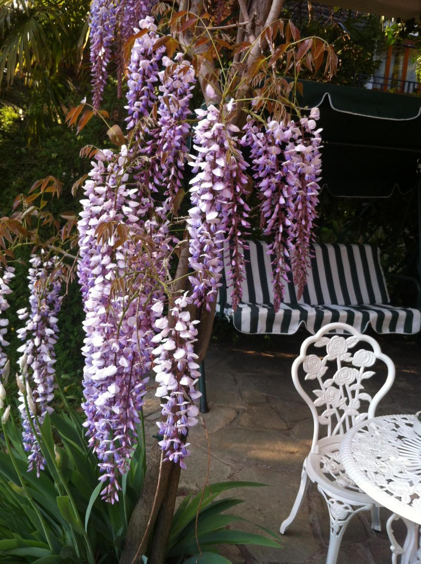 Photo 42