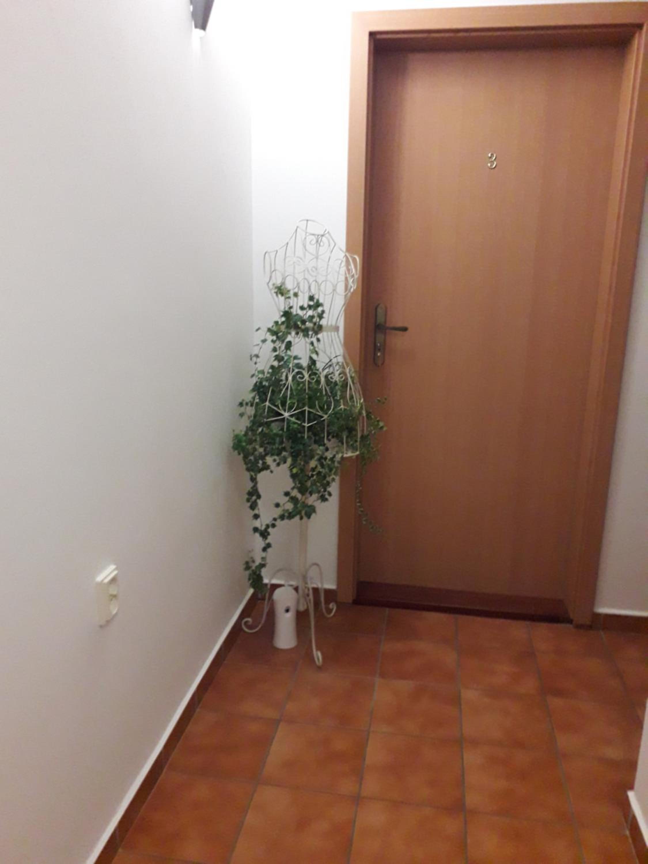 Photo 51