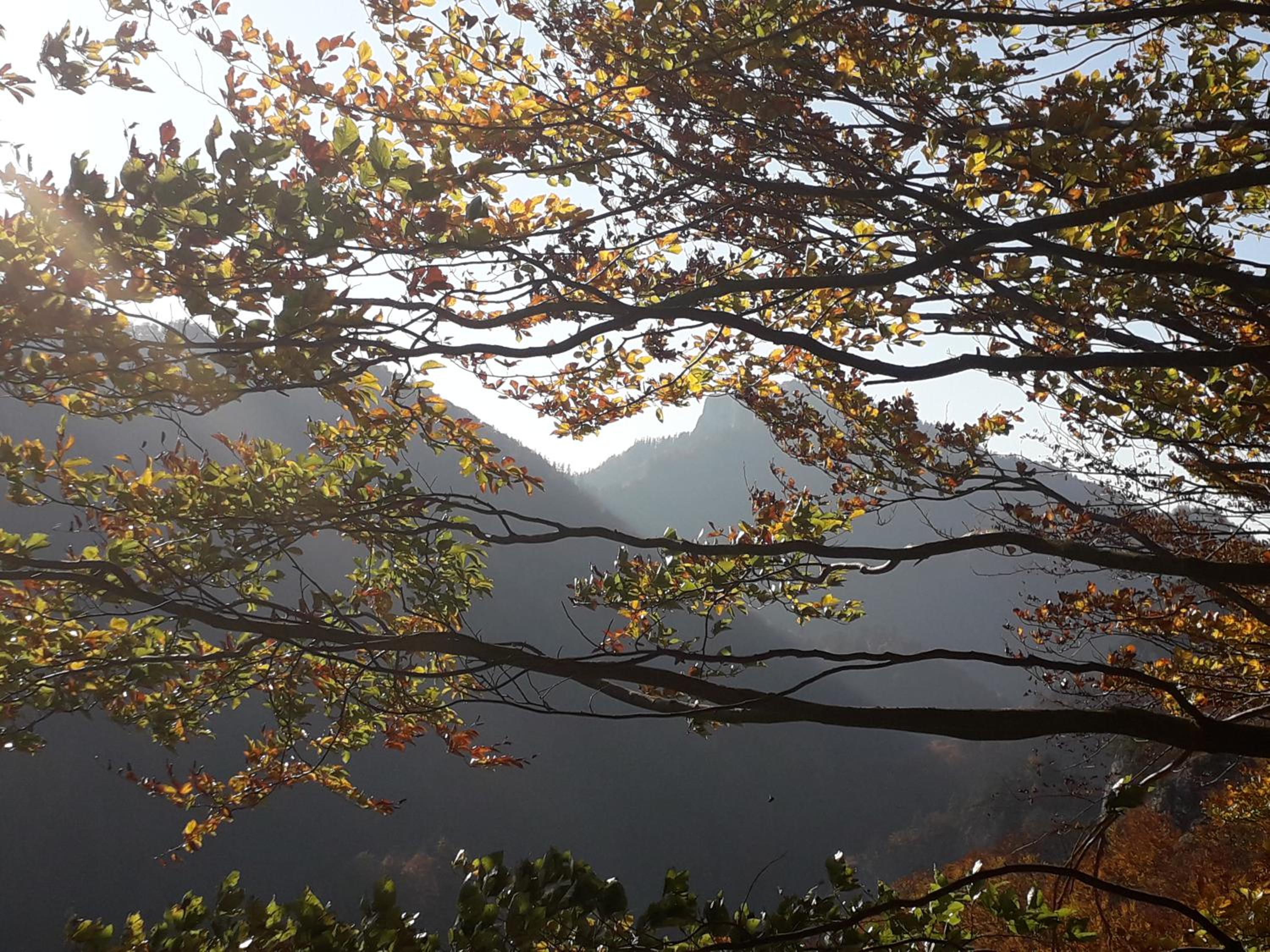 Chata Holica PIENINY view 3