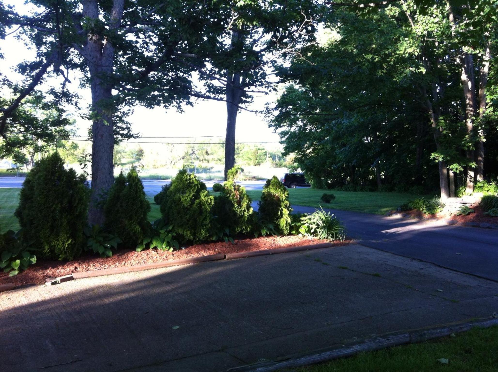 Photo 42