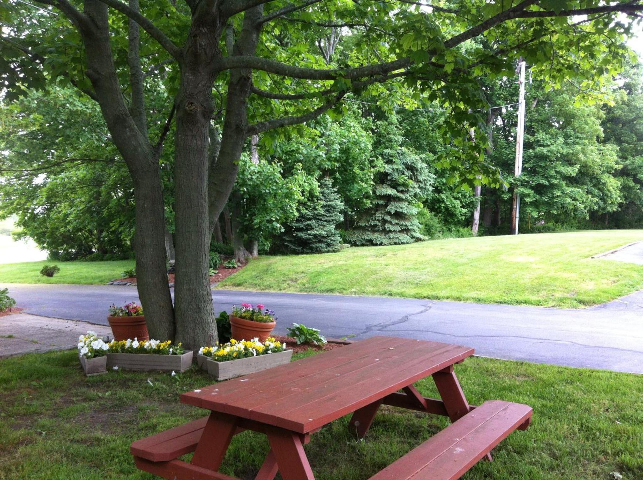 Photo 28