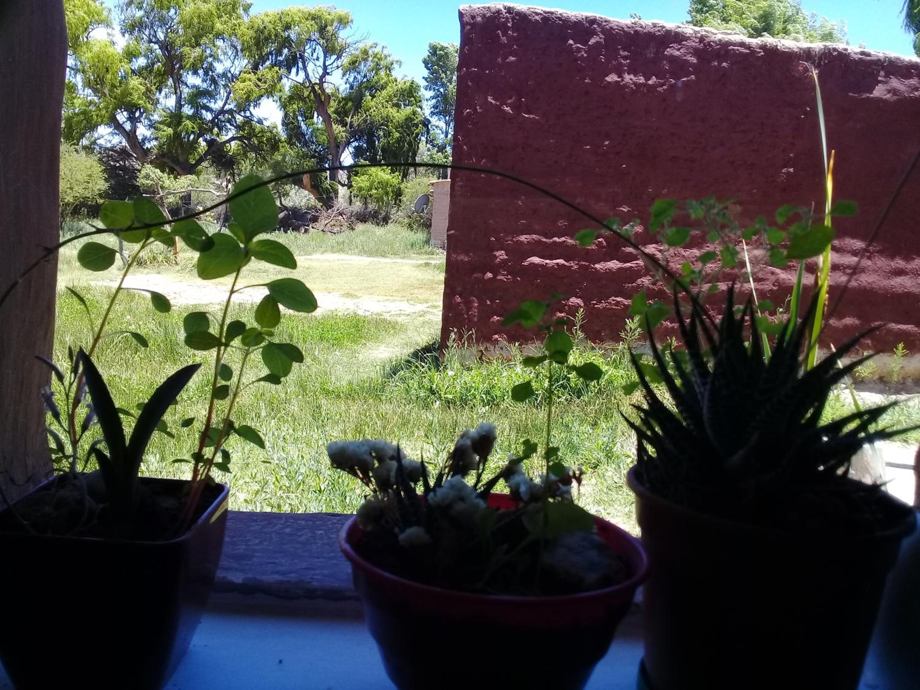 Cabaña El Cardón,casita en el campo quebradeño