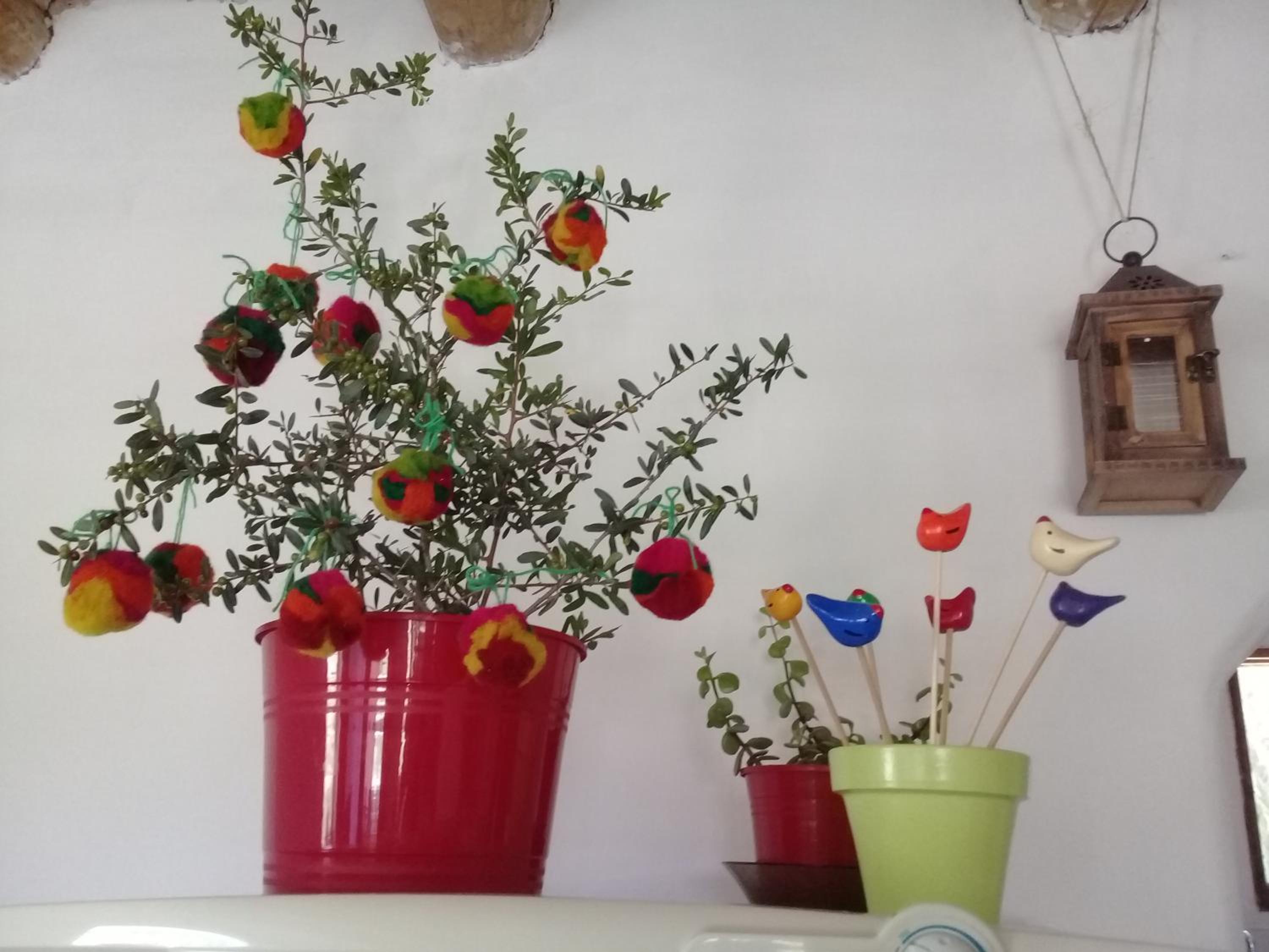 Cabaña El Cardón,casita en el campo quebradeño
