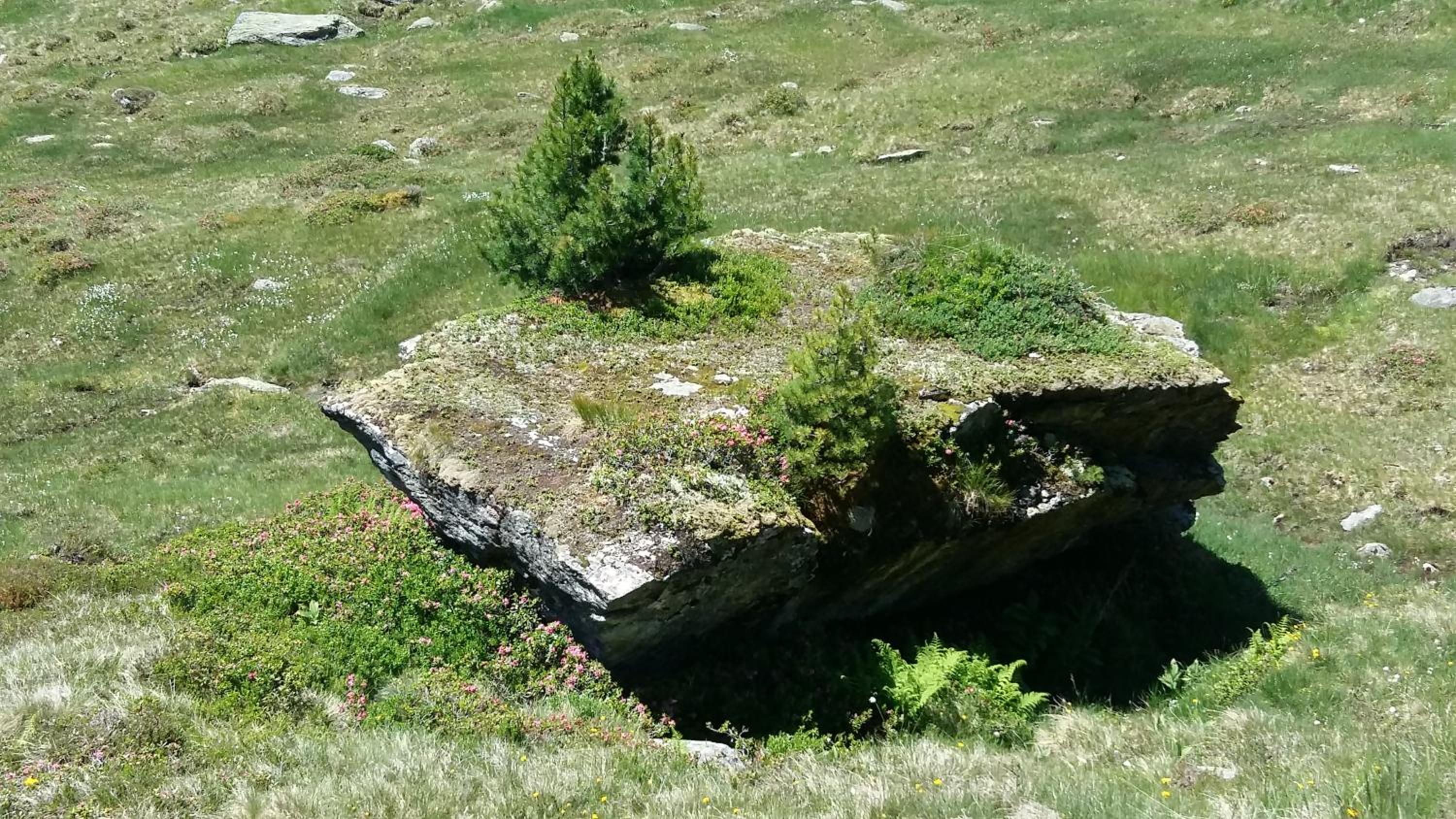 Photo 26