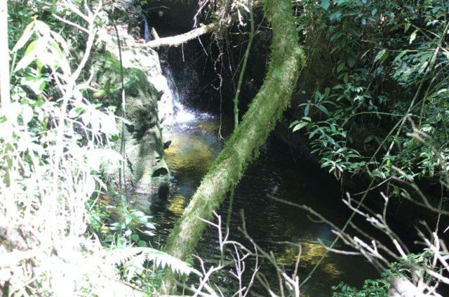 Photo 52