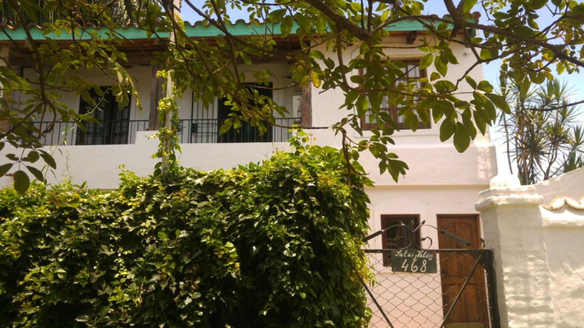 Hotel Casa de las Palmeras - Image 1