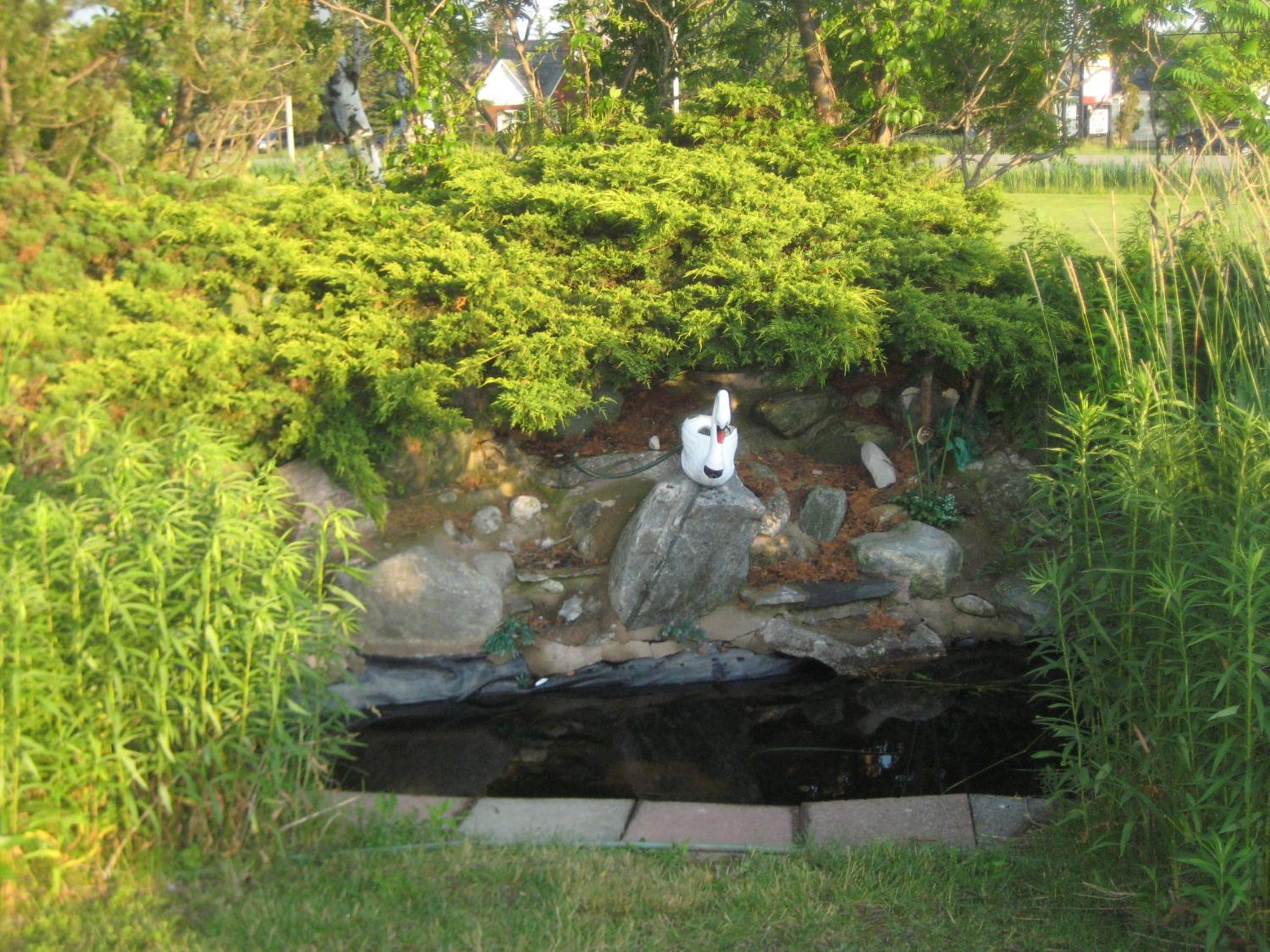 Photo 27
