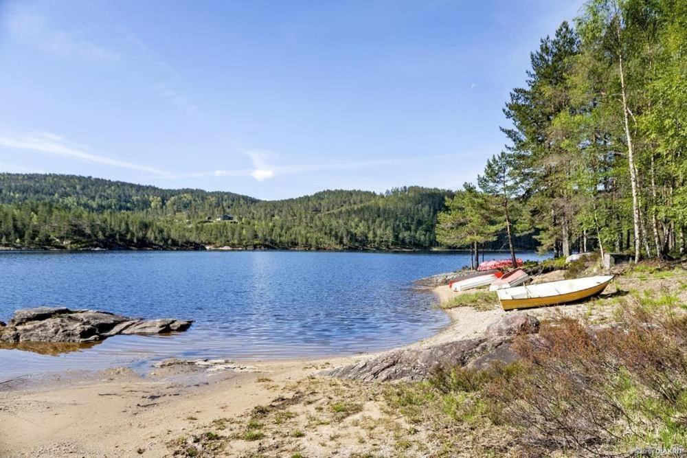 Bjørndalsvatnet view 2