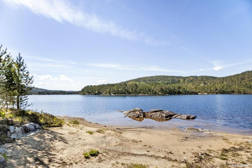 Bjørndalsvatnet view 5