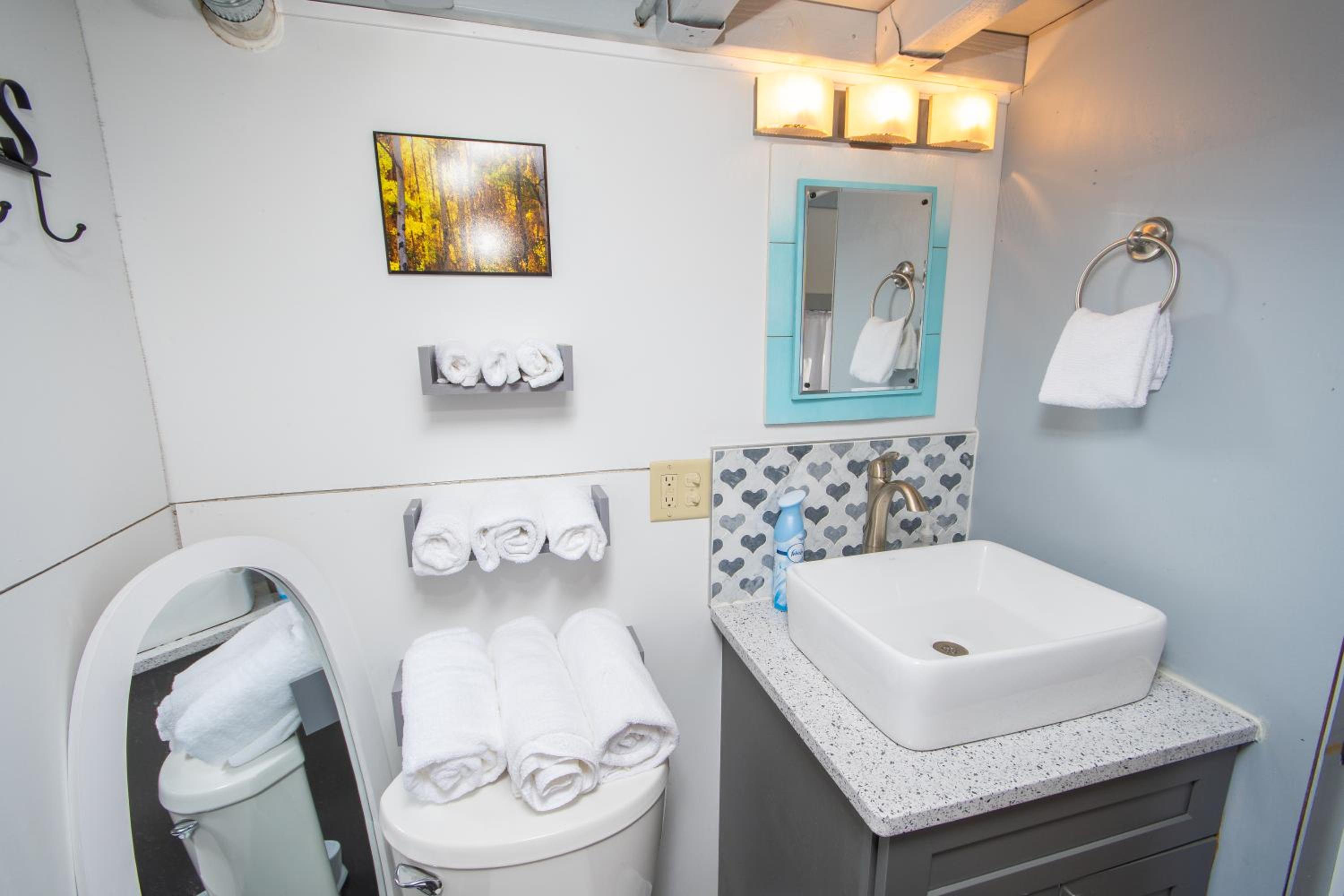 Tiny House Leadville Colorado