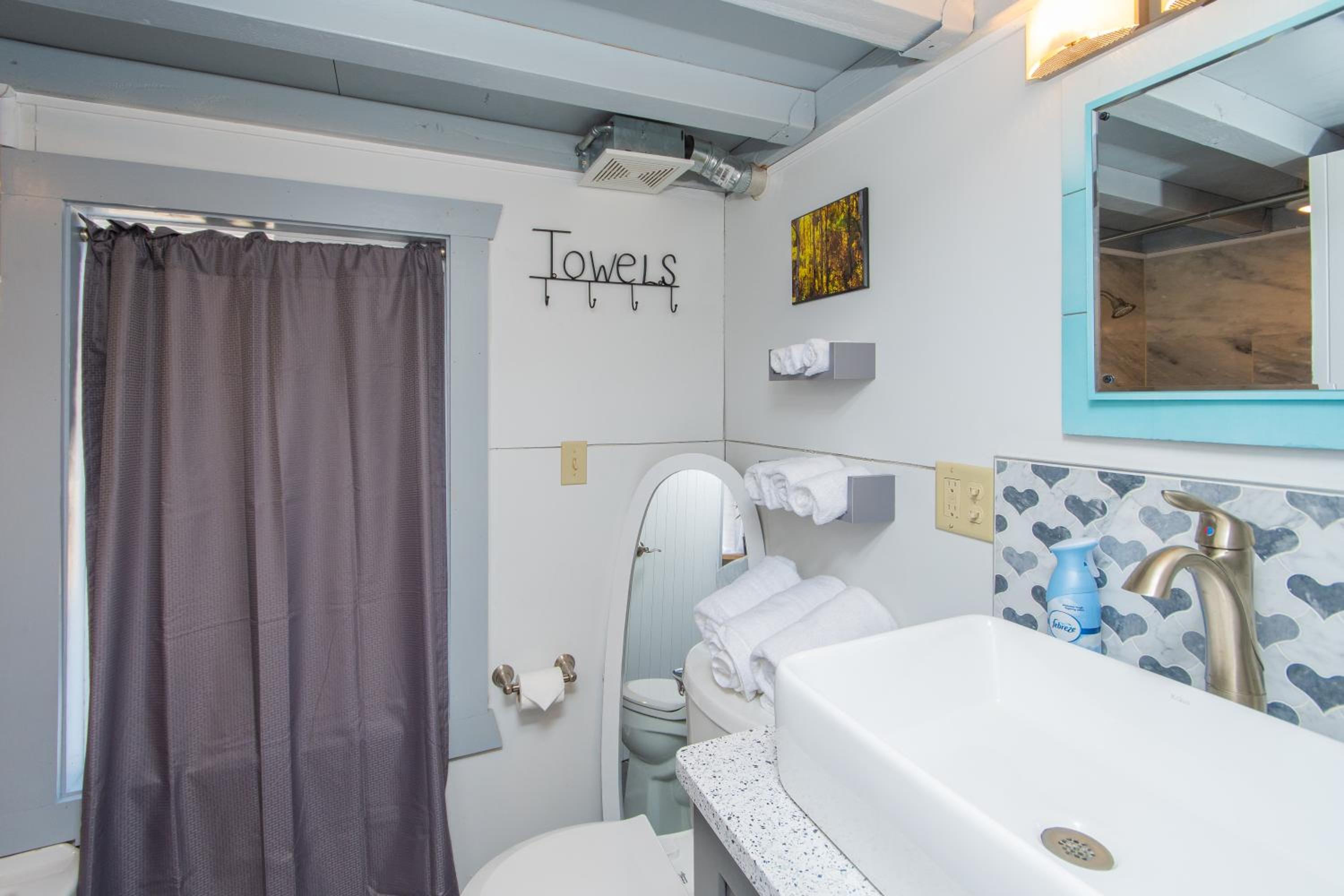 Tiny House Leadville Colorado