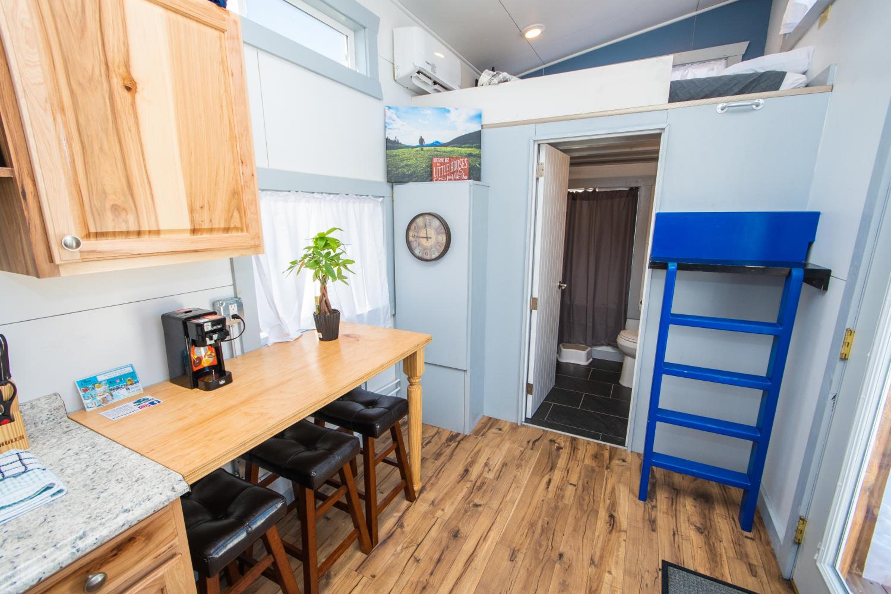 Tiny House Leadville Colorado