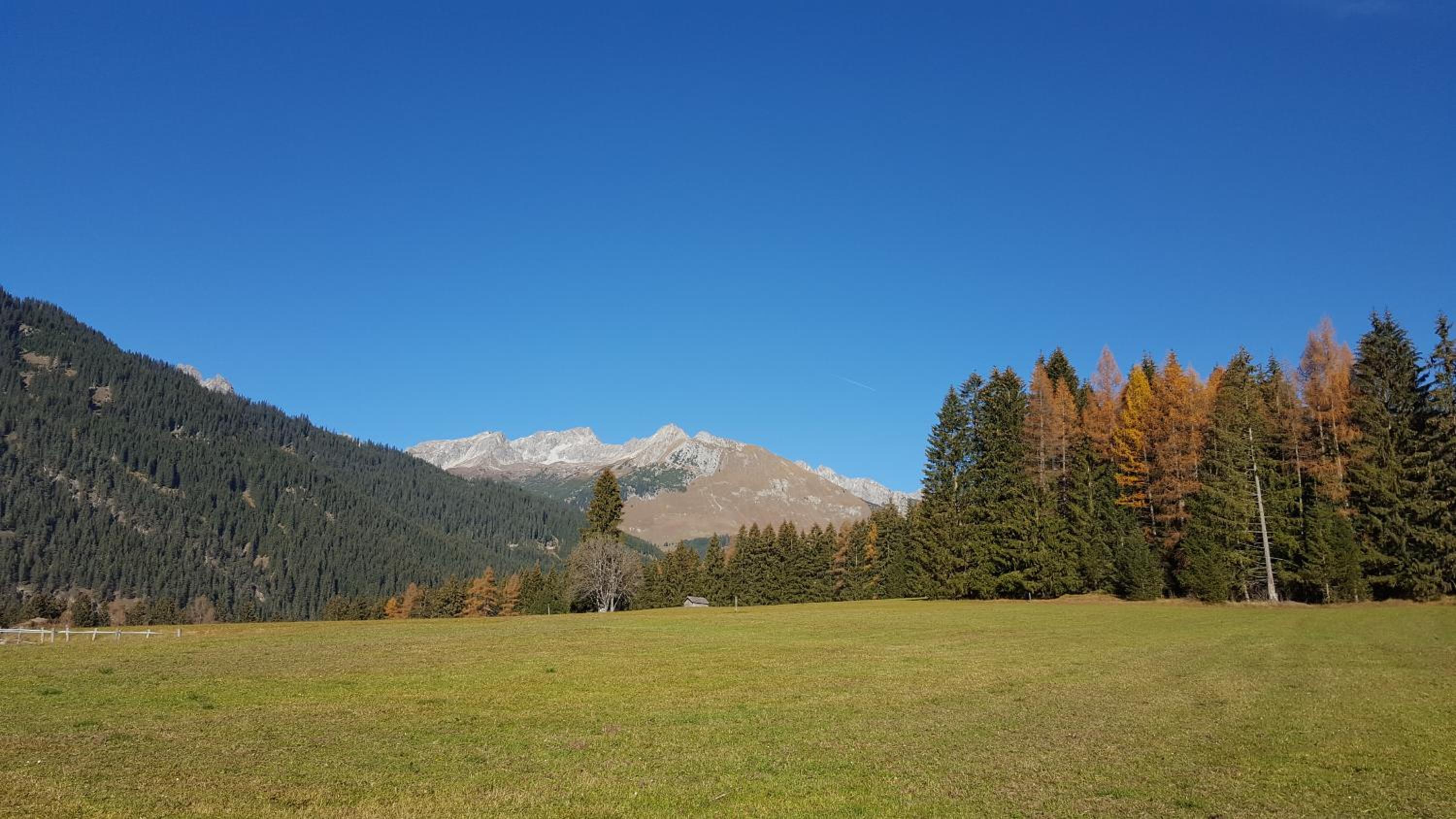 De Nussi's chalet 2