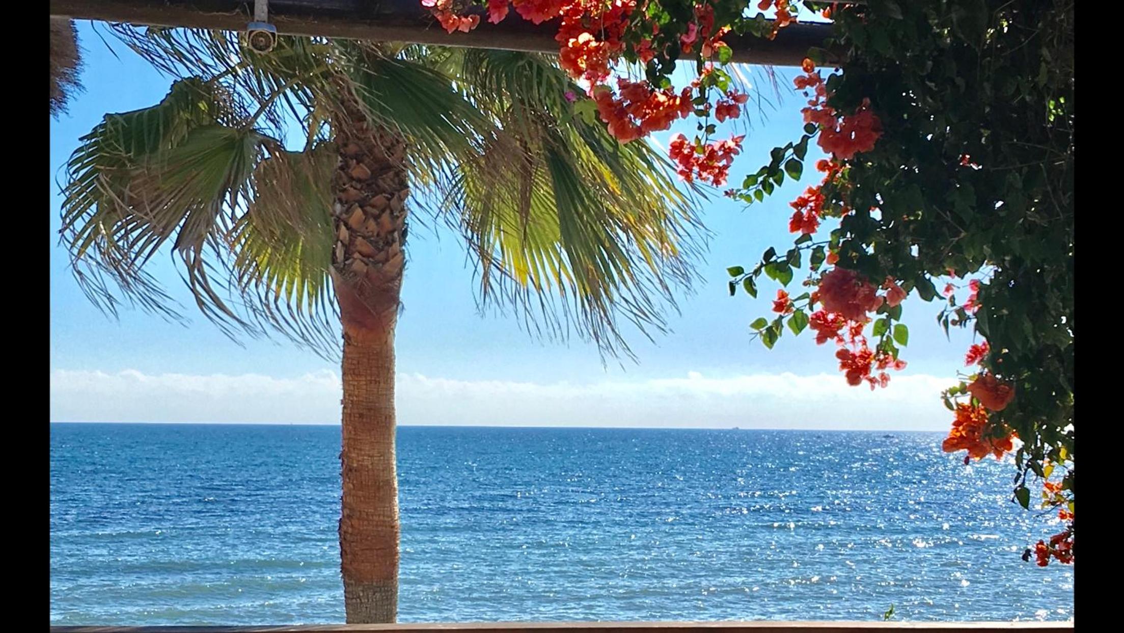 MI CAPRICHO 9C BEACHFRONT- Apartment with sea view - Costa del Sol