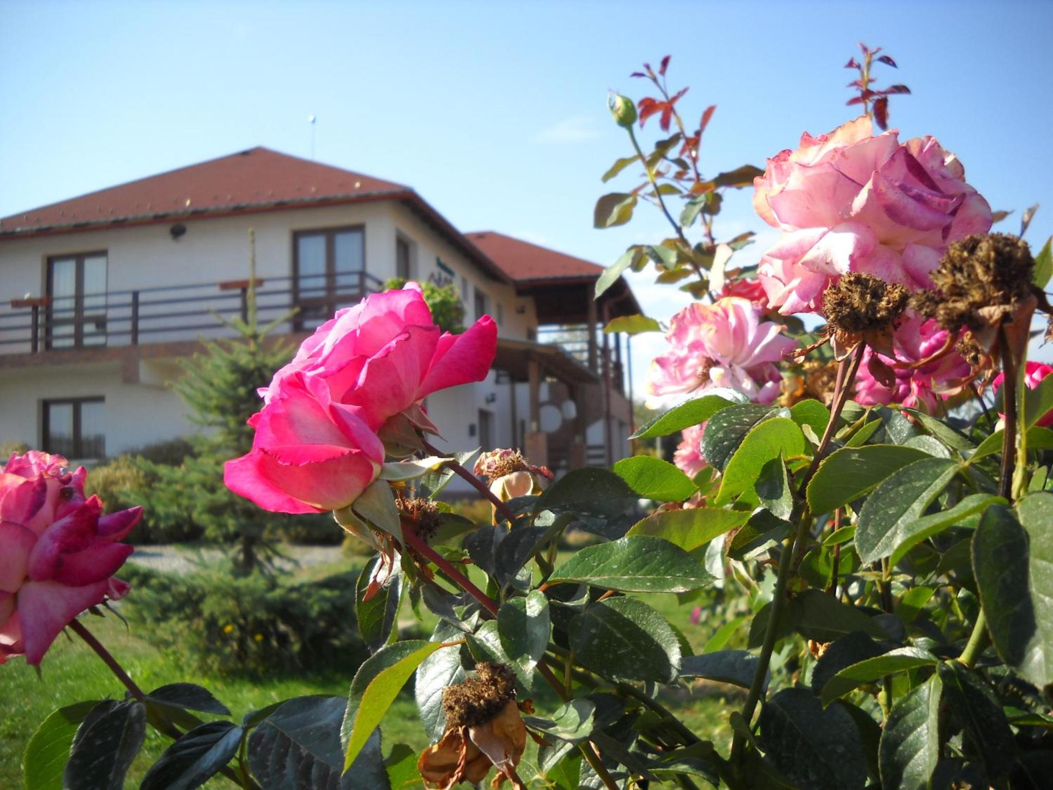 Photo 6