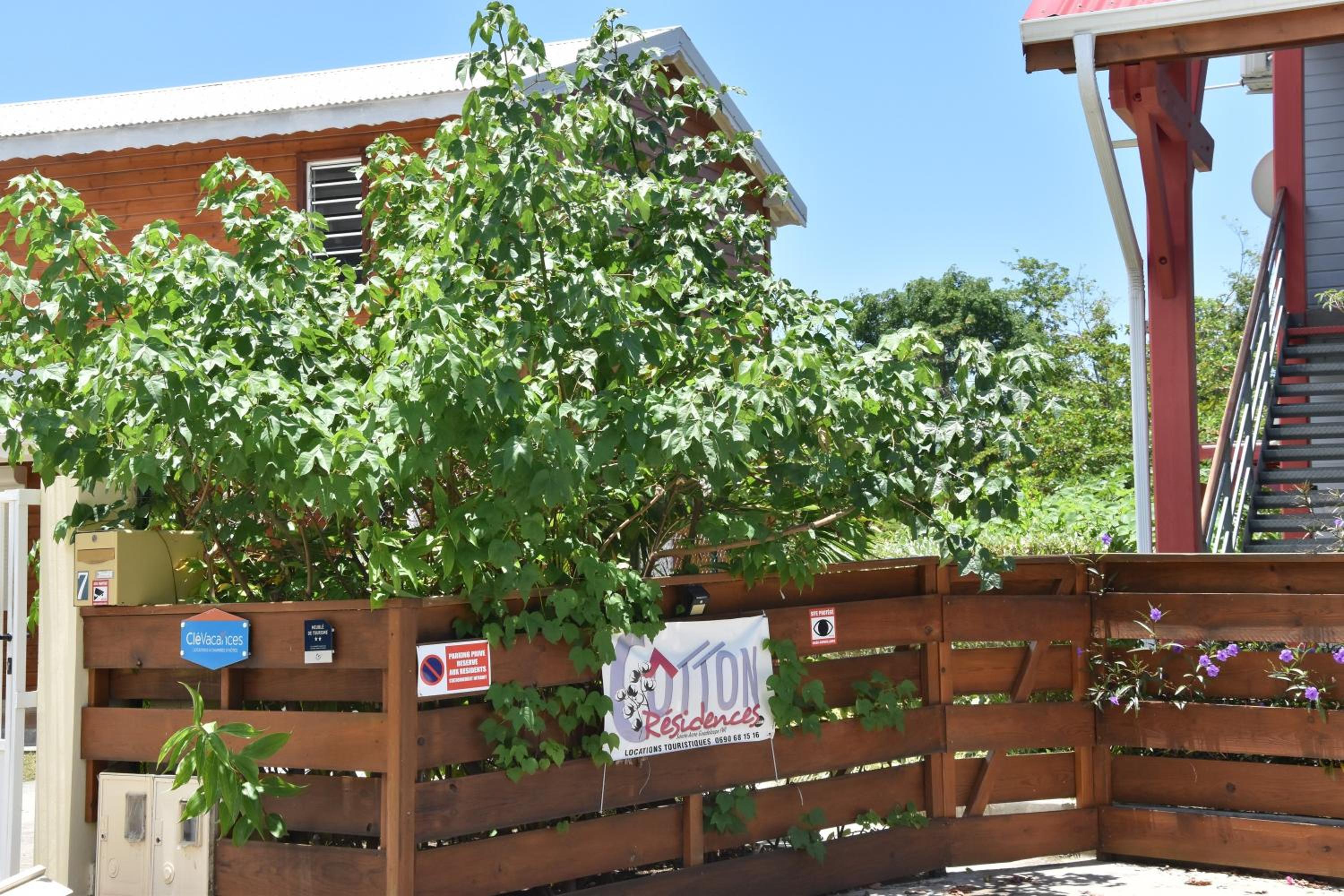 Cotton residences