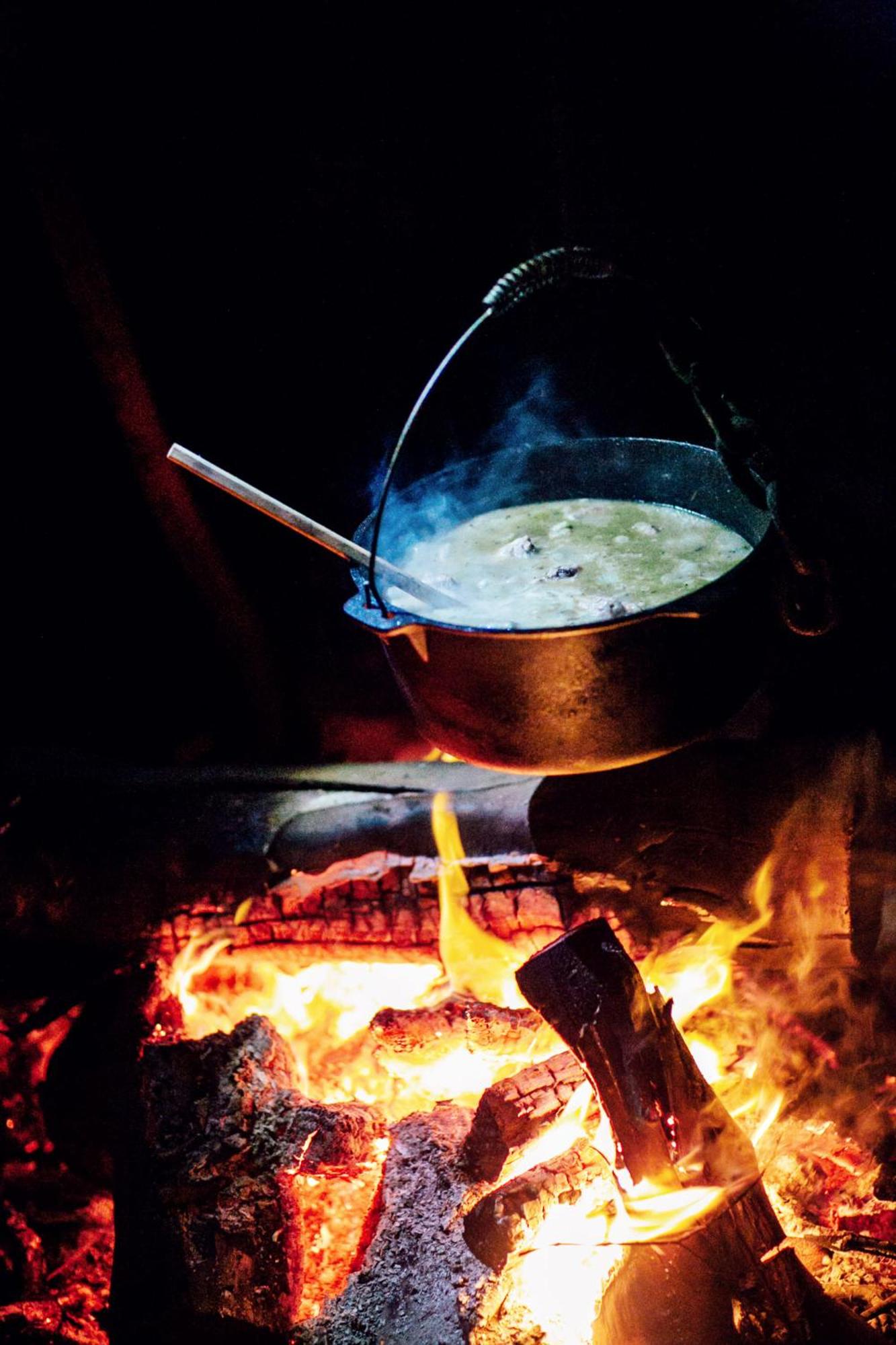 Nightcap Ridge - Byron Bay Hinterland