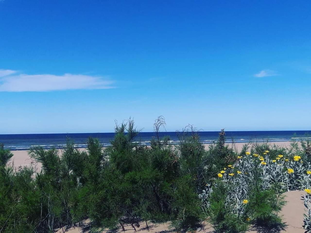 Playadianos