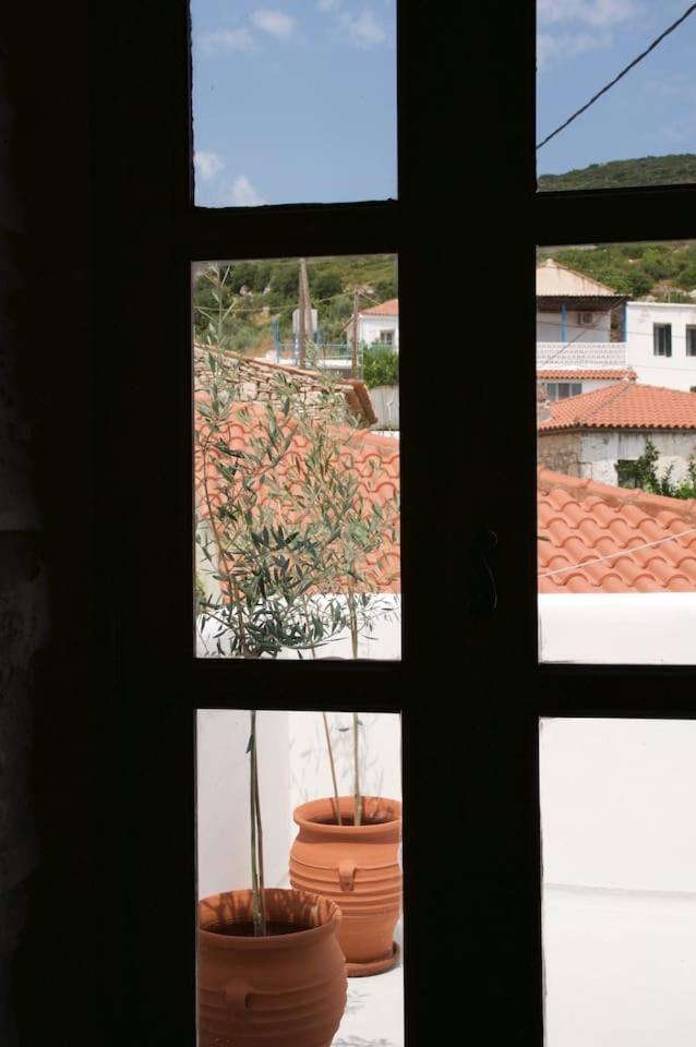 Photo 29