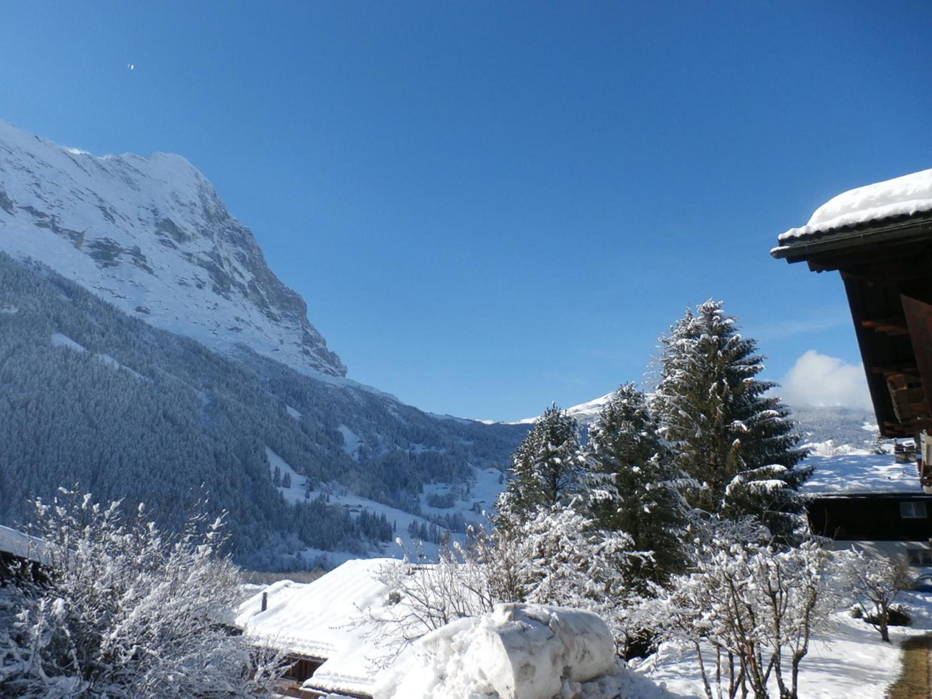 Casa Almis, Grindelwald view 2