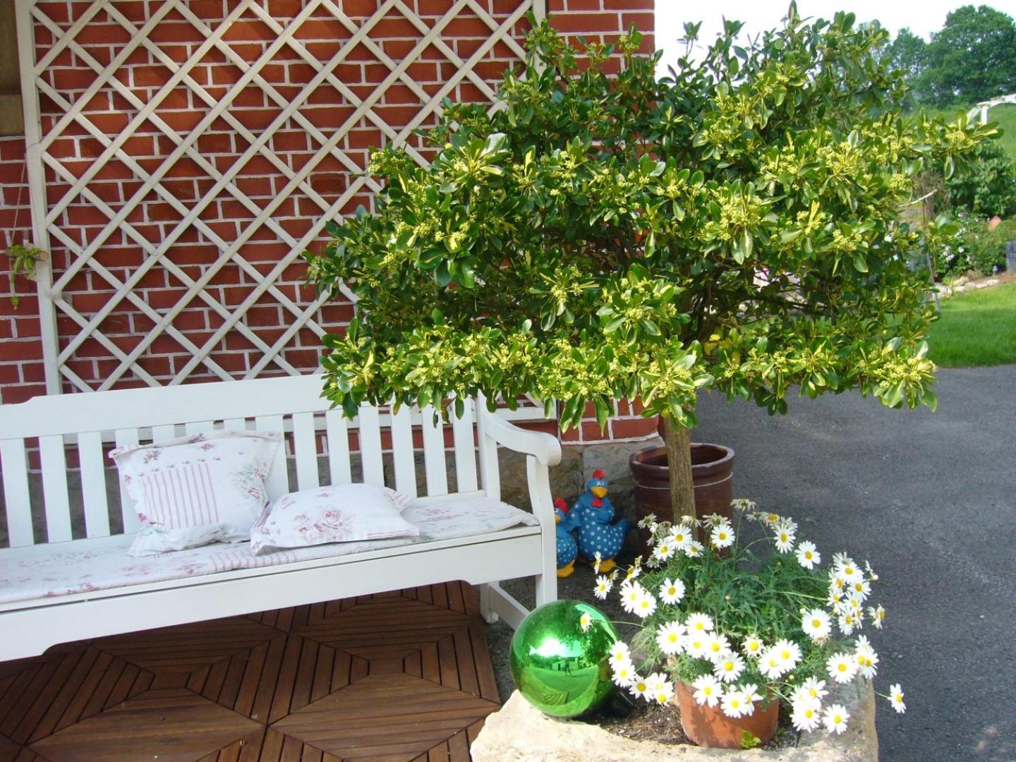 Photo 21