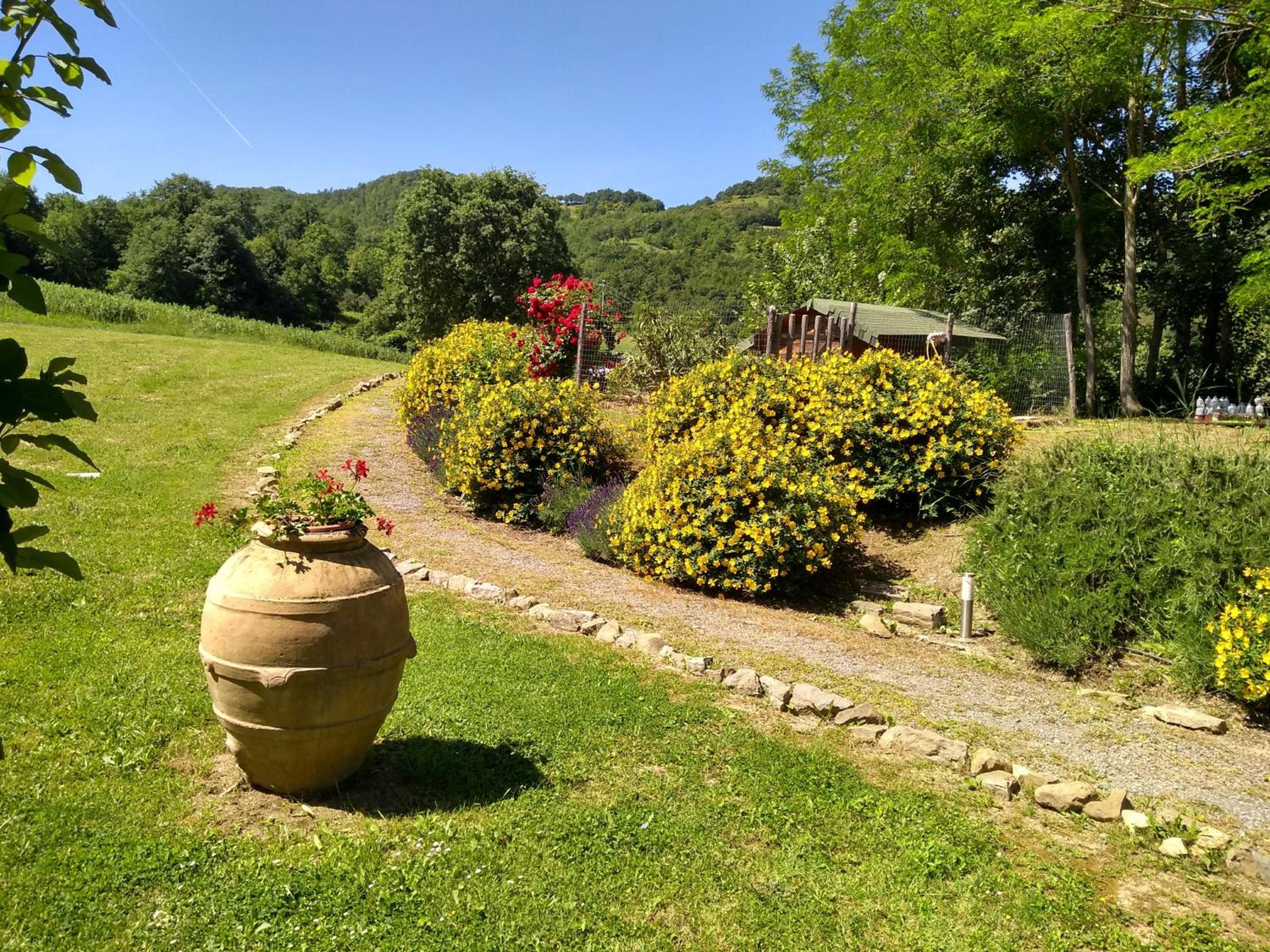 Agriturismo Montelovesco