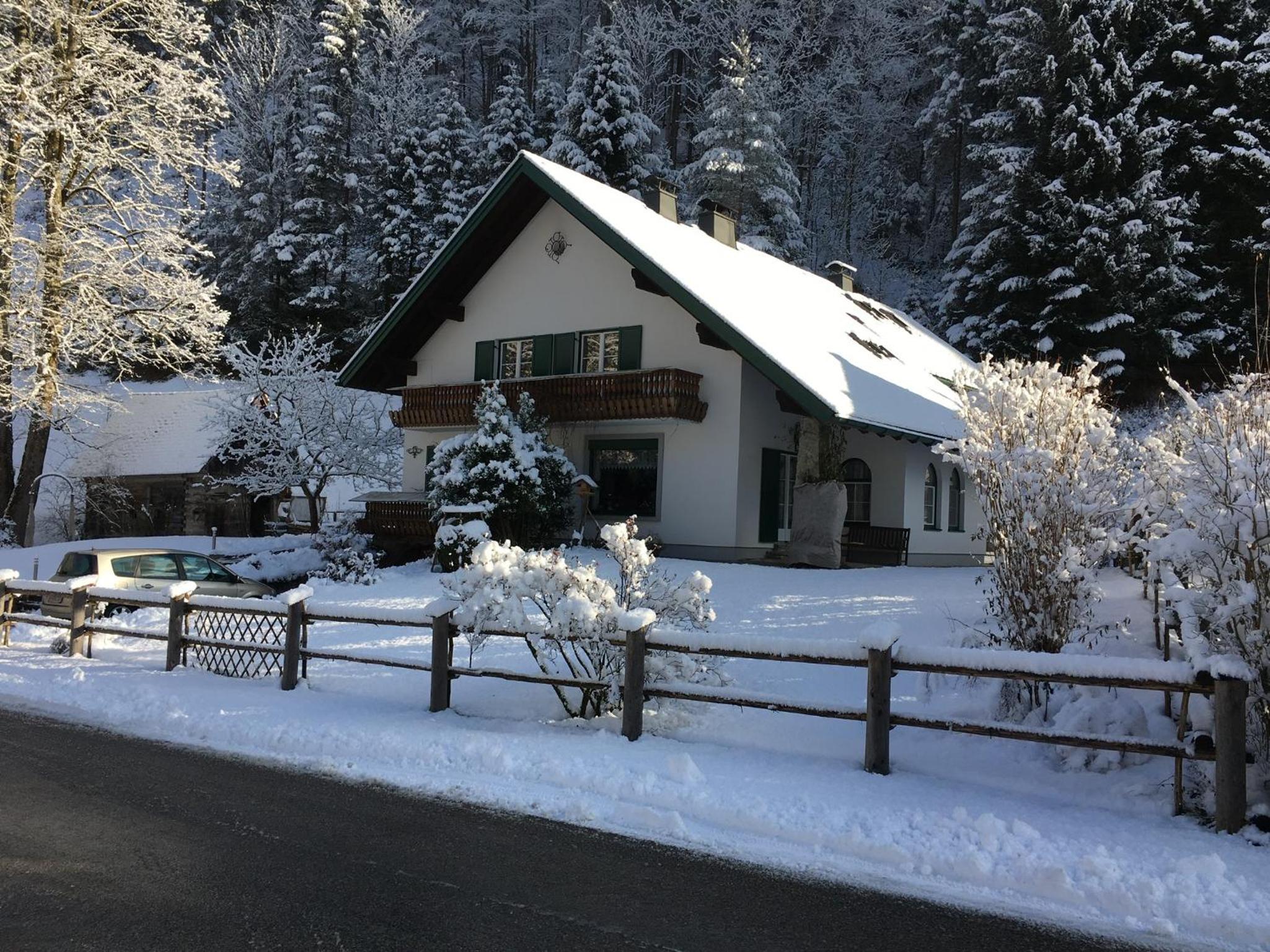 Photo 45