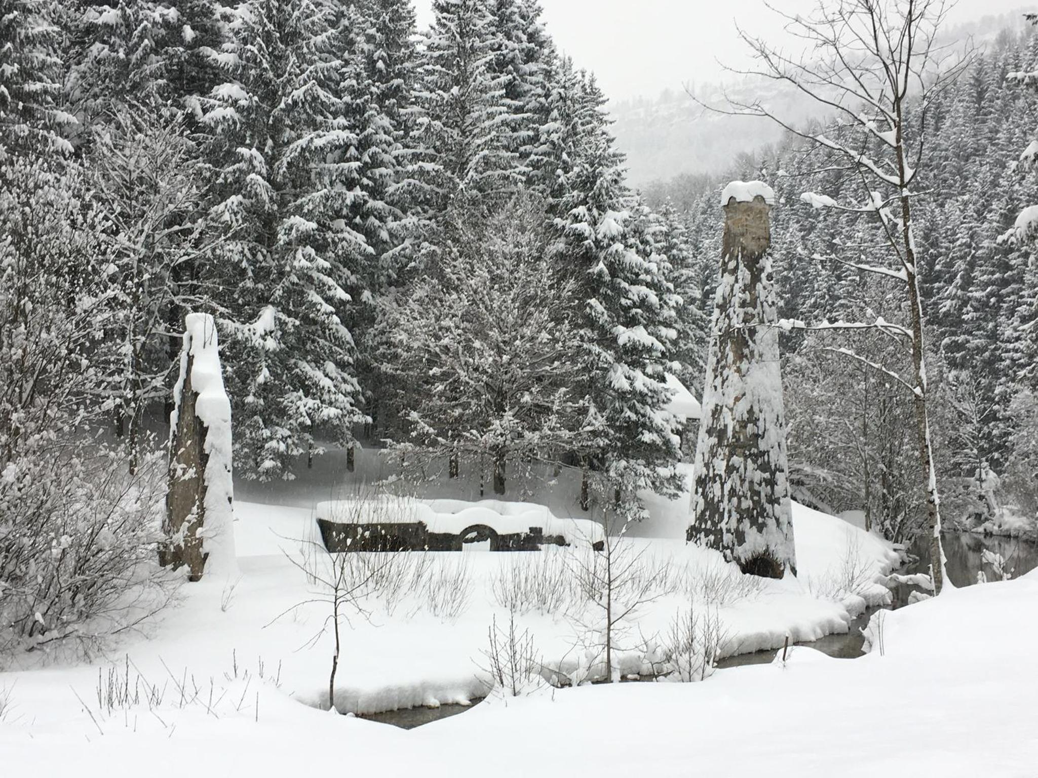 Photo 48