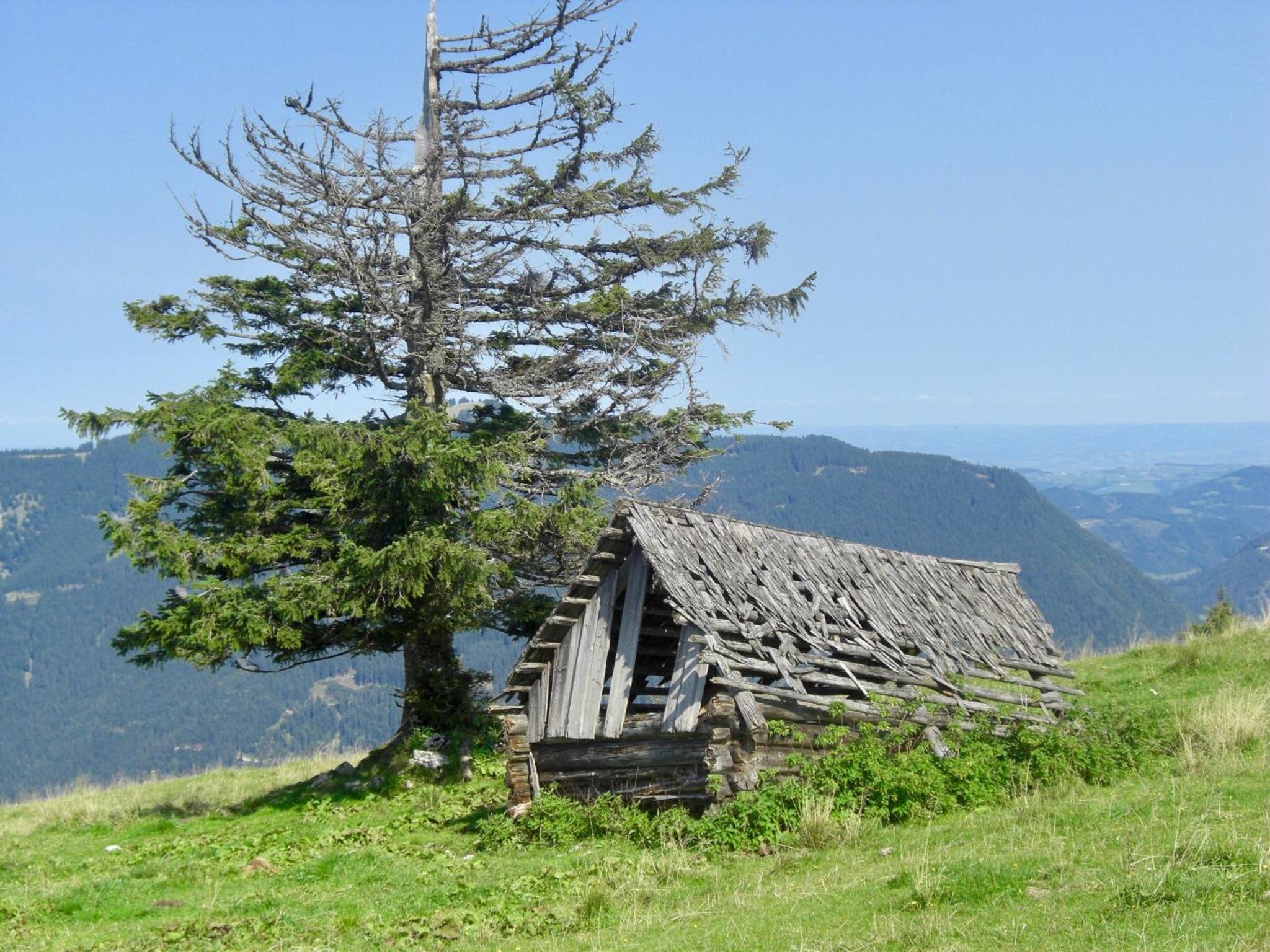 Photo 27