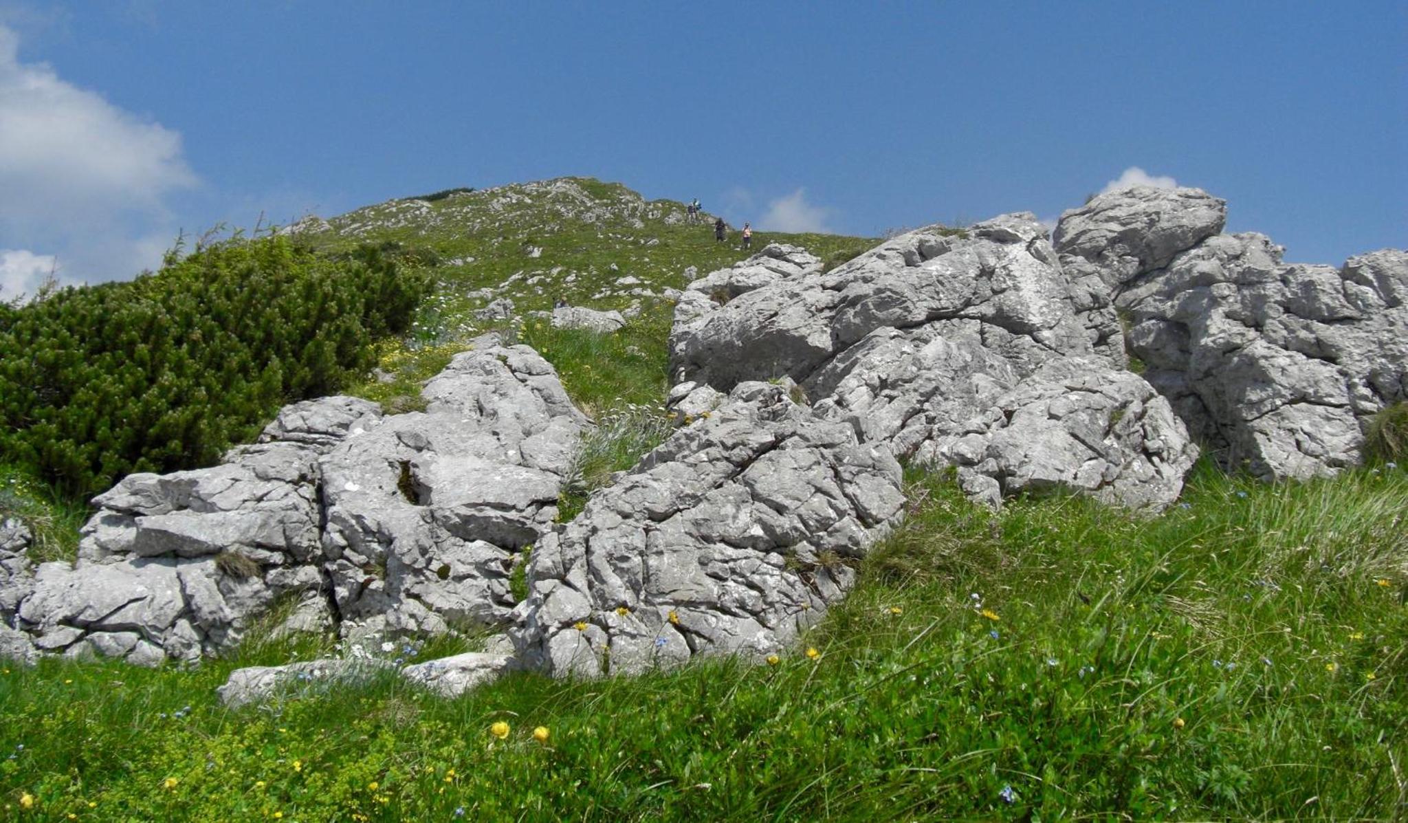 Photo 41