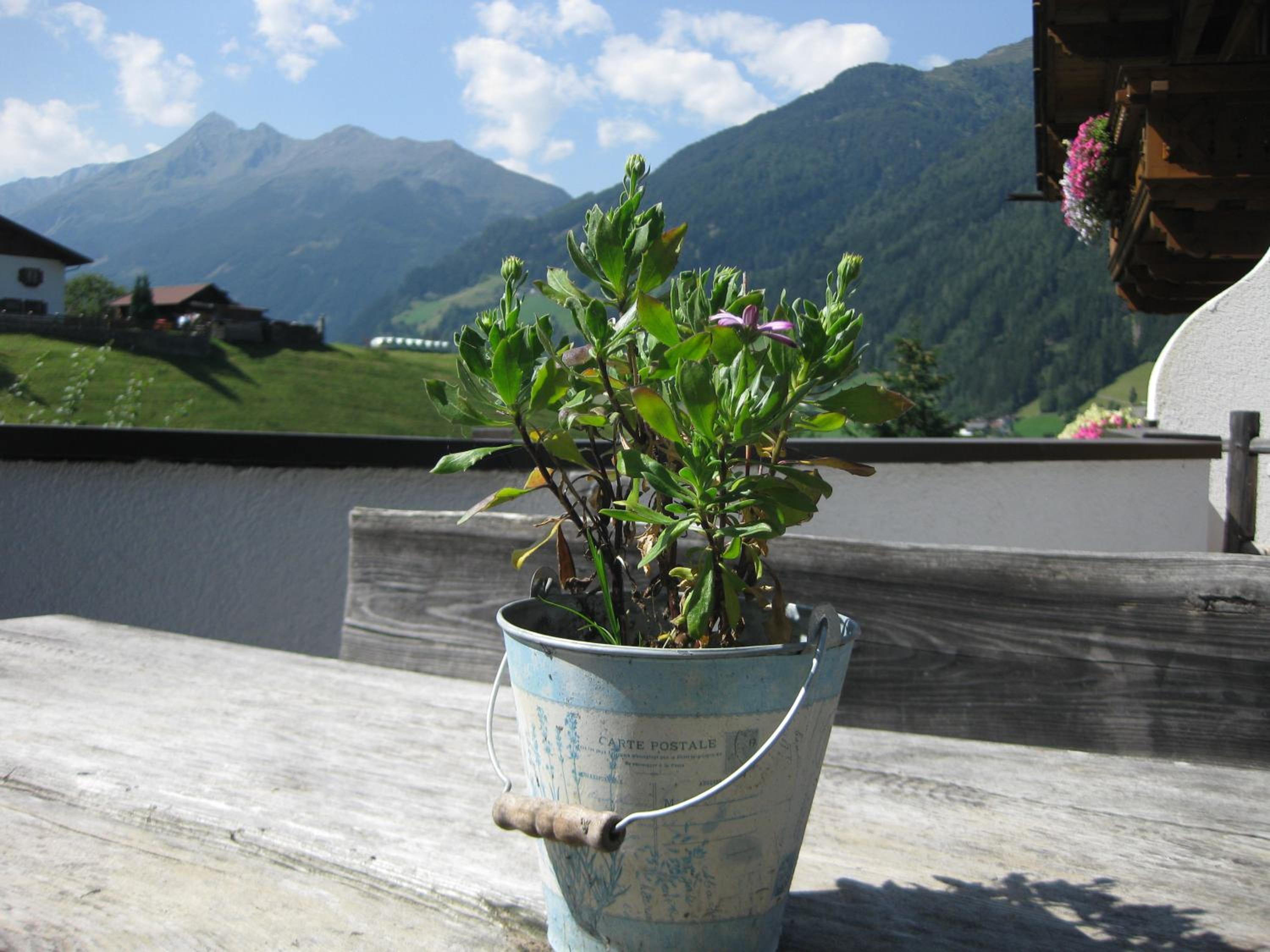 Photo 27
