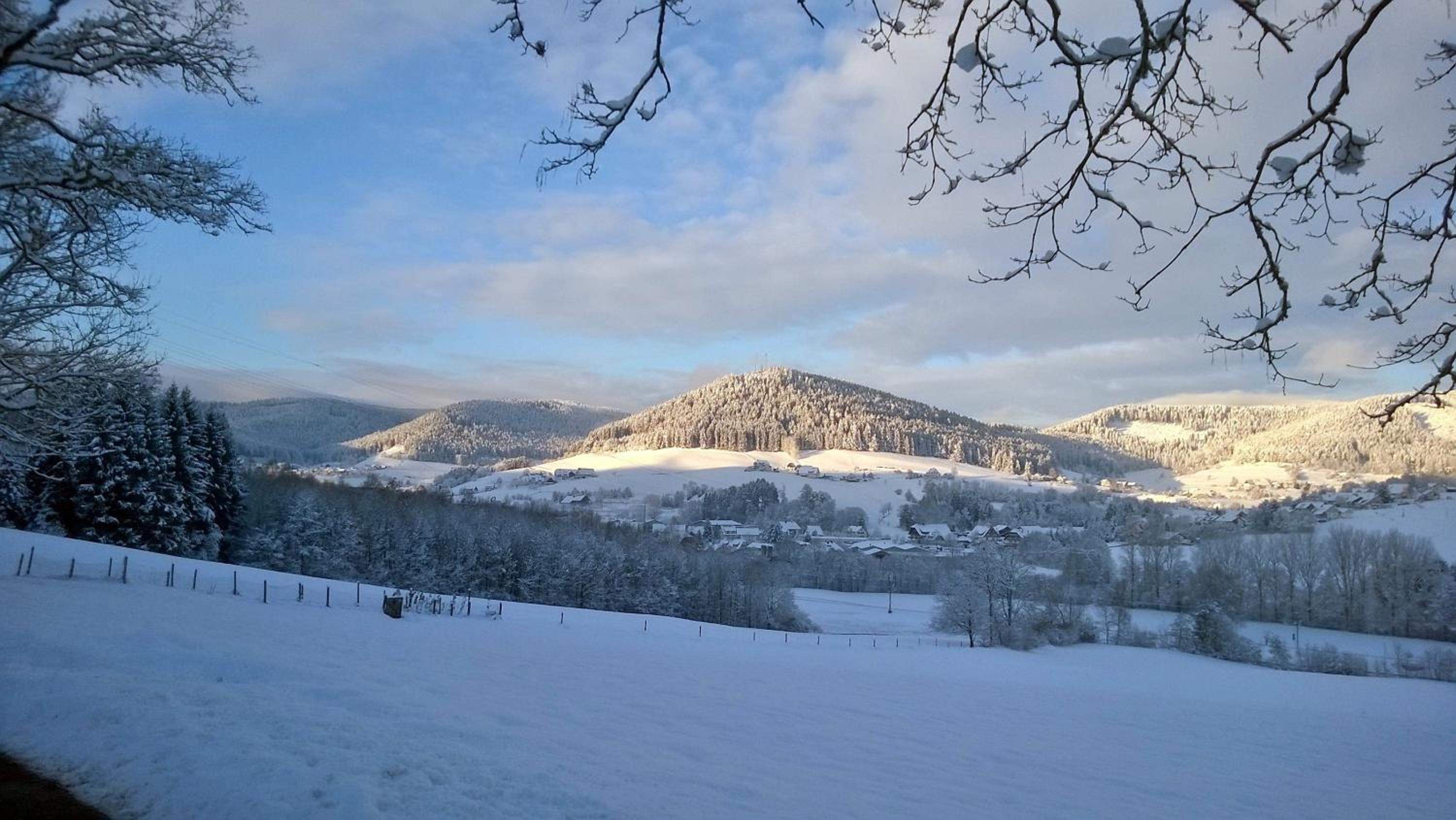 Schwarzwald-Ferienwohnungen Begert