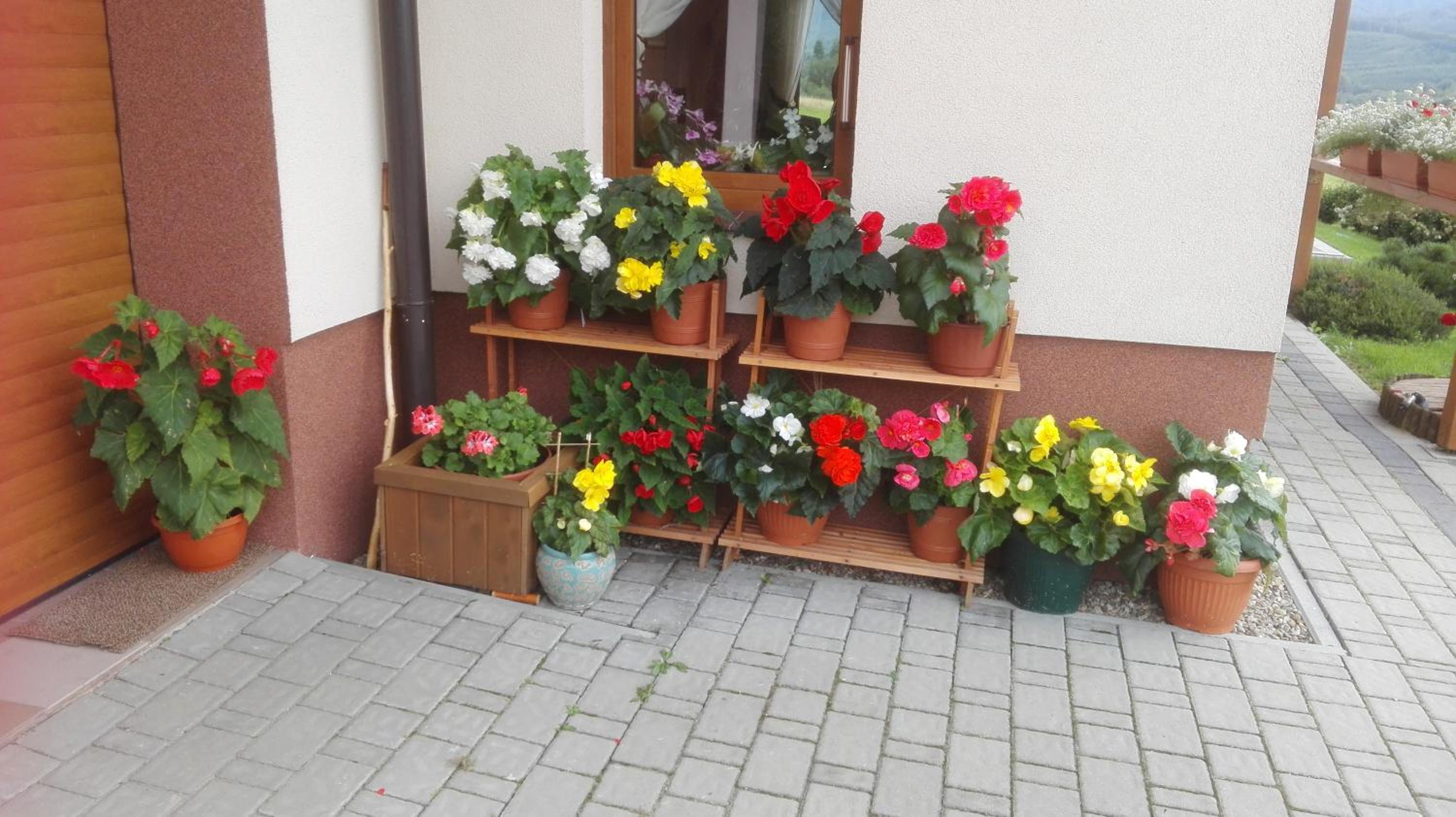Photo 27