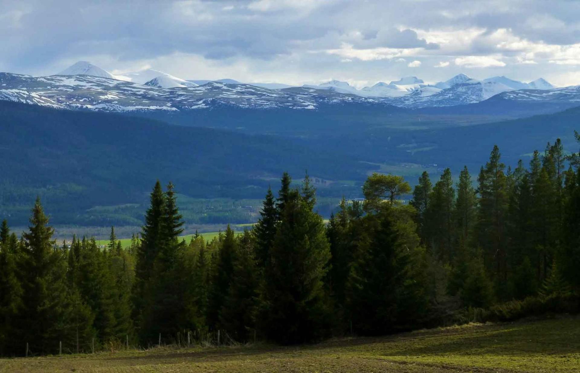 Tronsvangen Seter