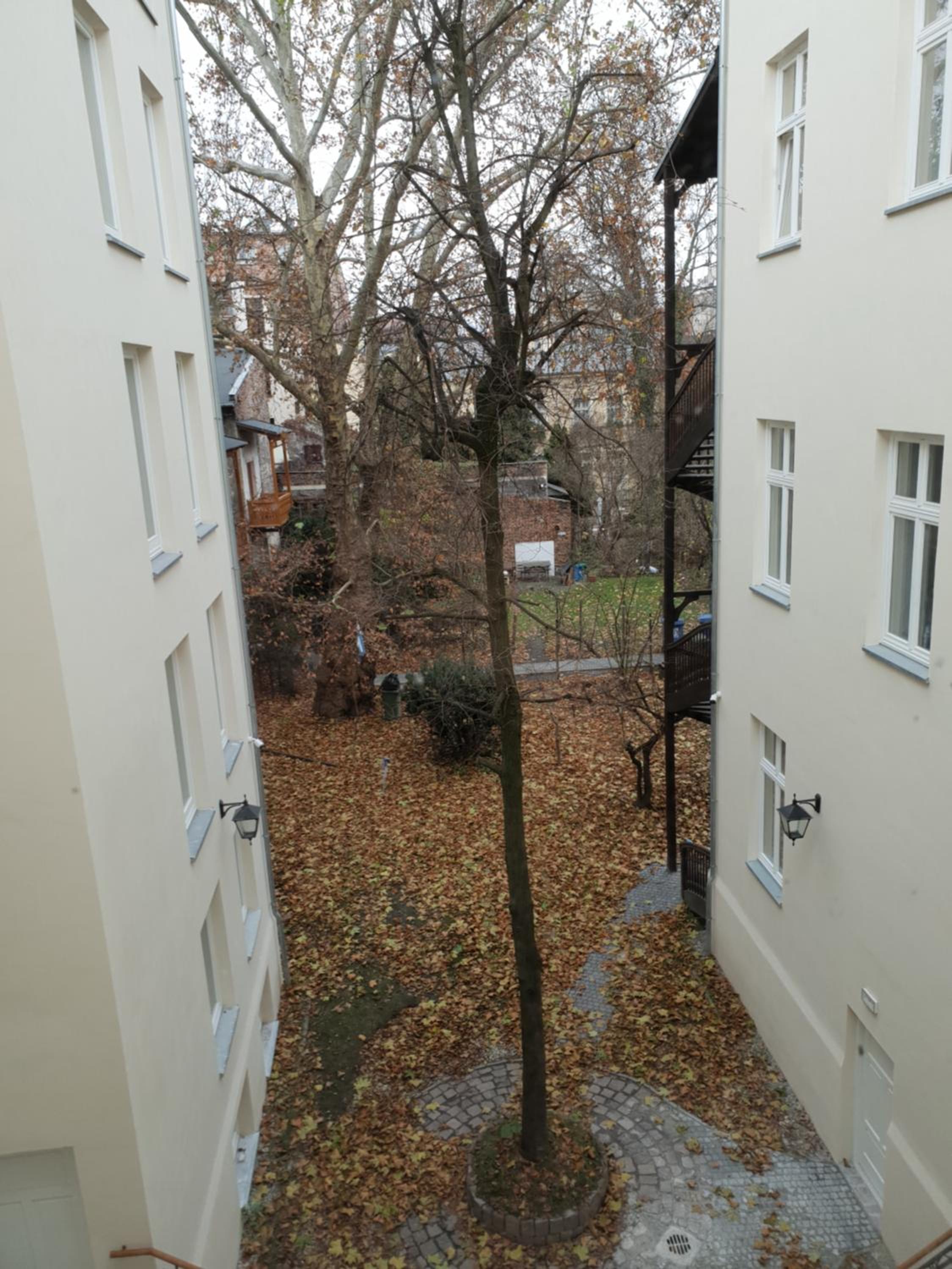 Photo 51