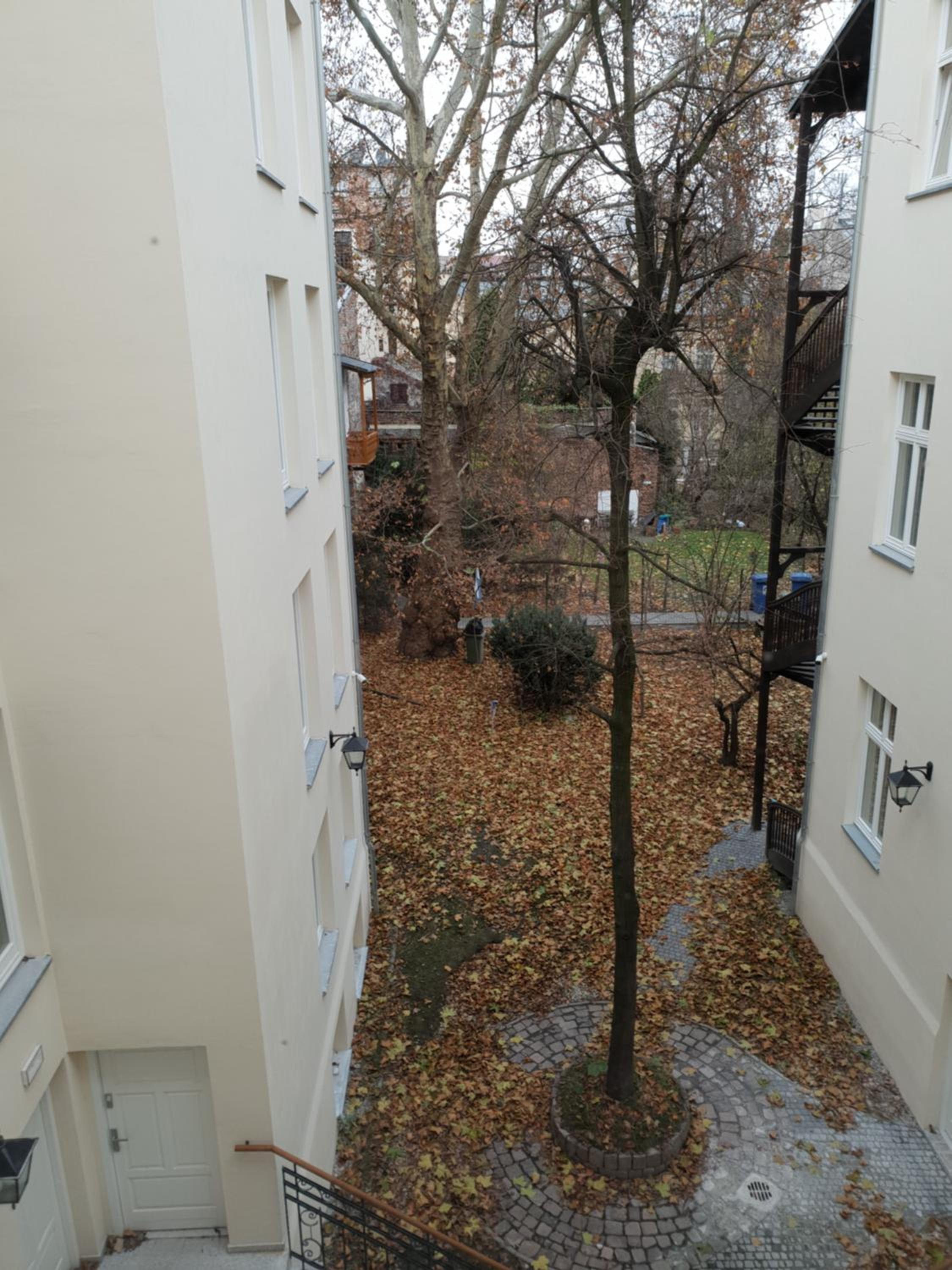 Photo 33