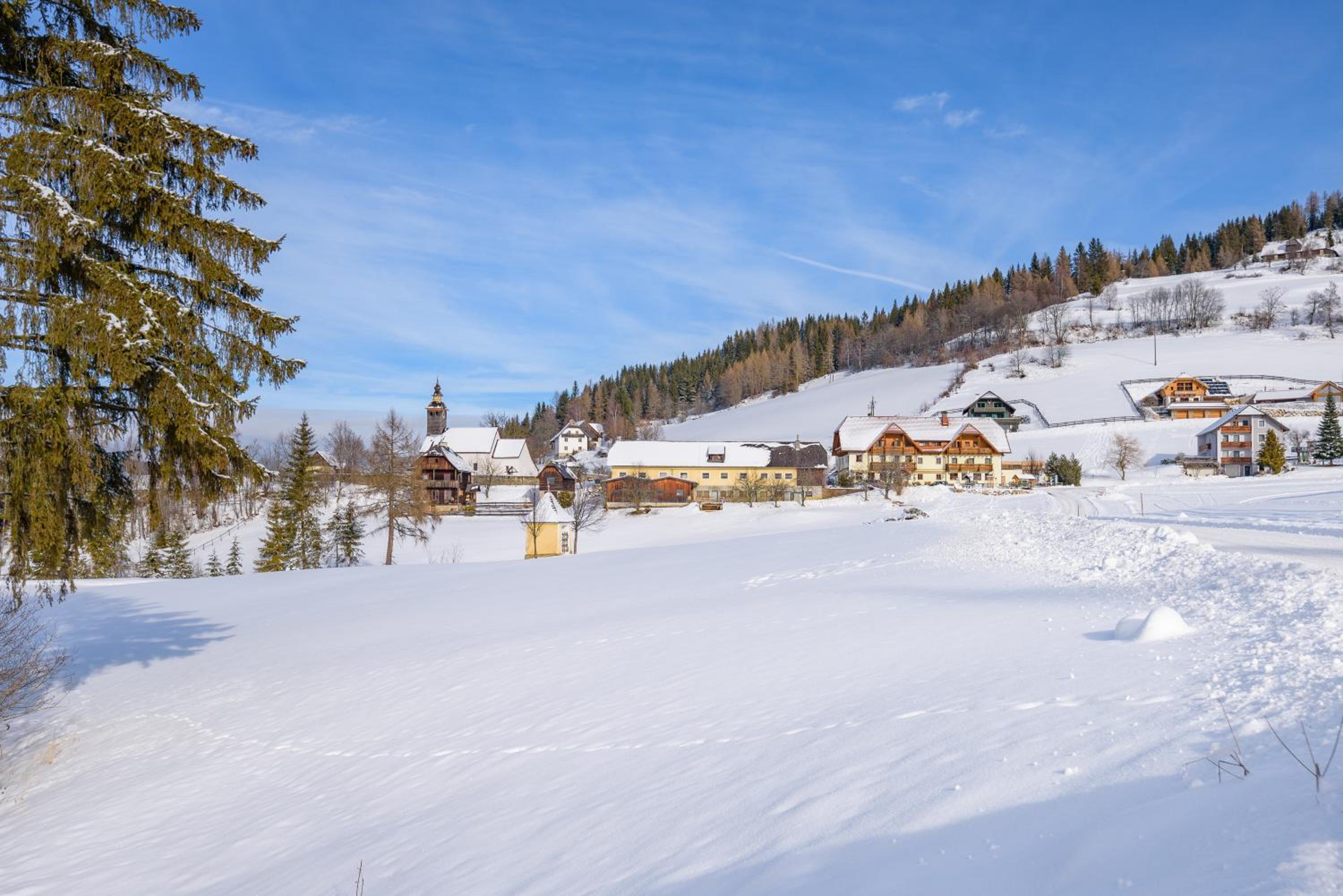 Alpengasthof Moser