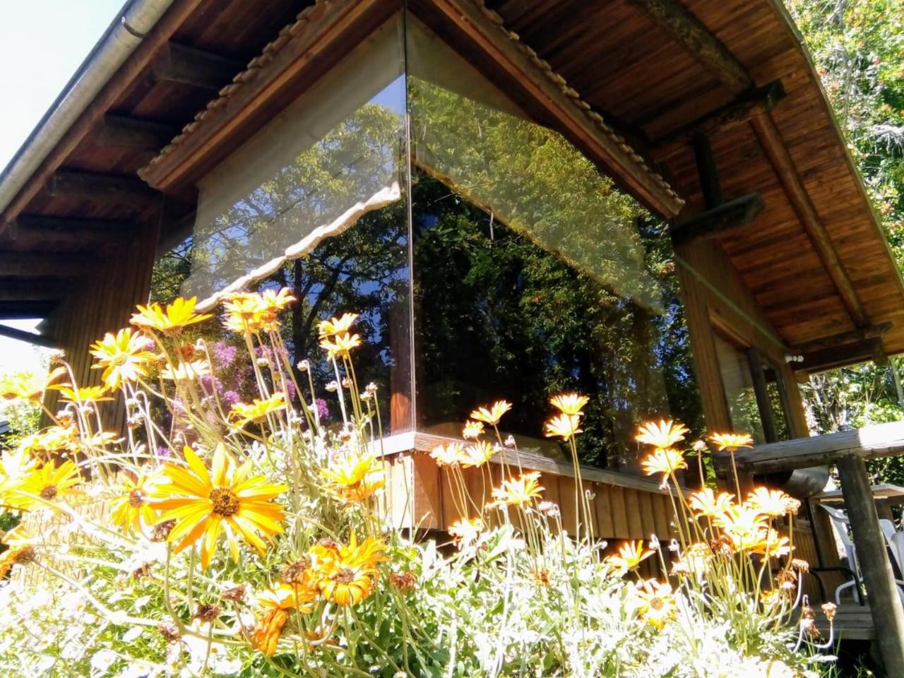 Cabanas El Cipres
