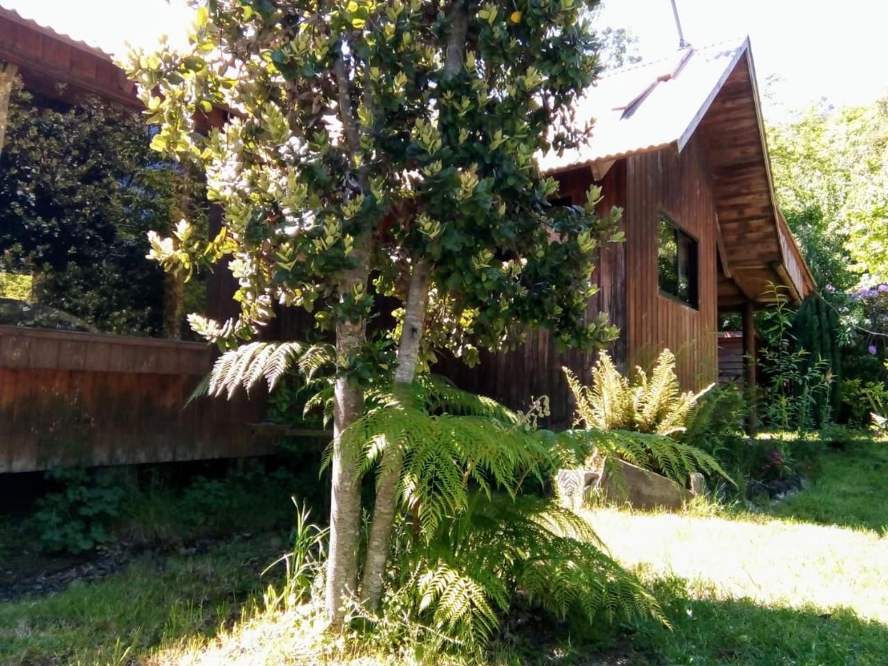 Cabanas El Cipres