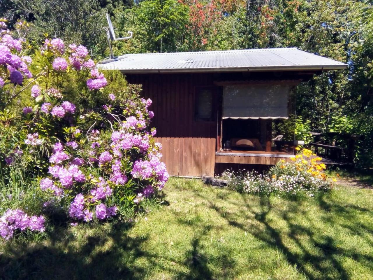 Cabanas El Cipres