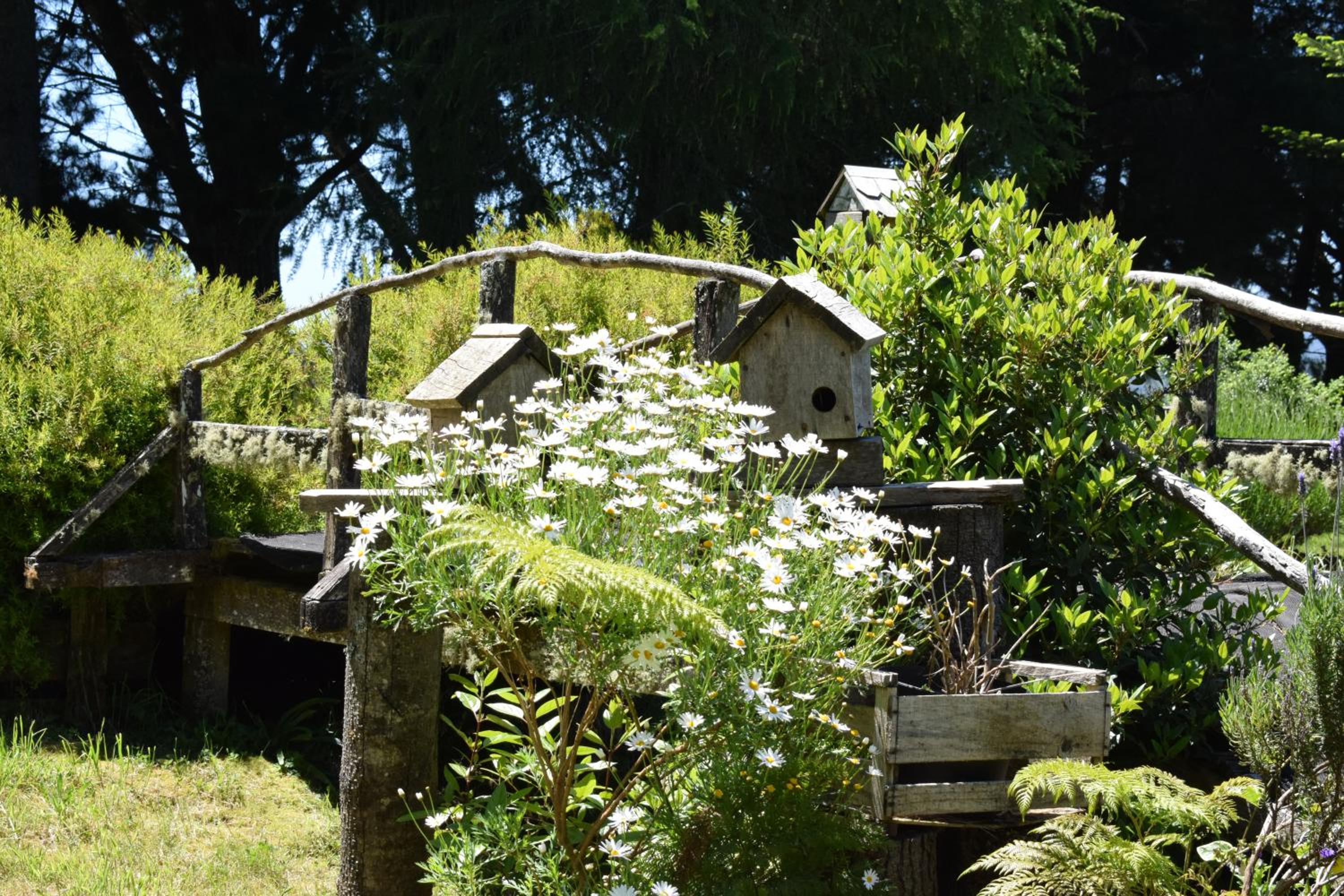 Lodge El Sarao A Una Hora De Puerto Varas