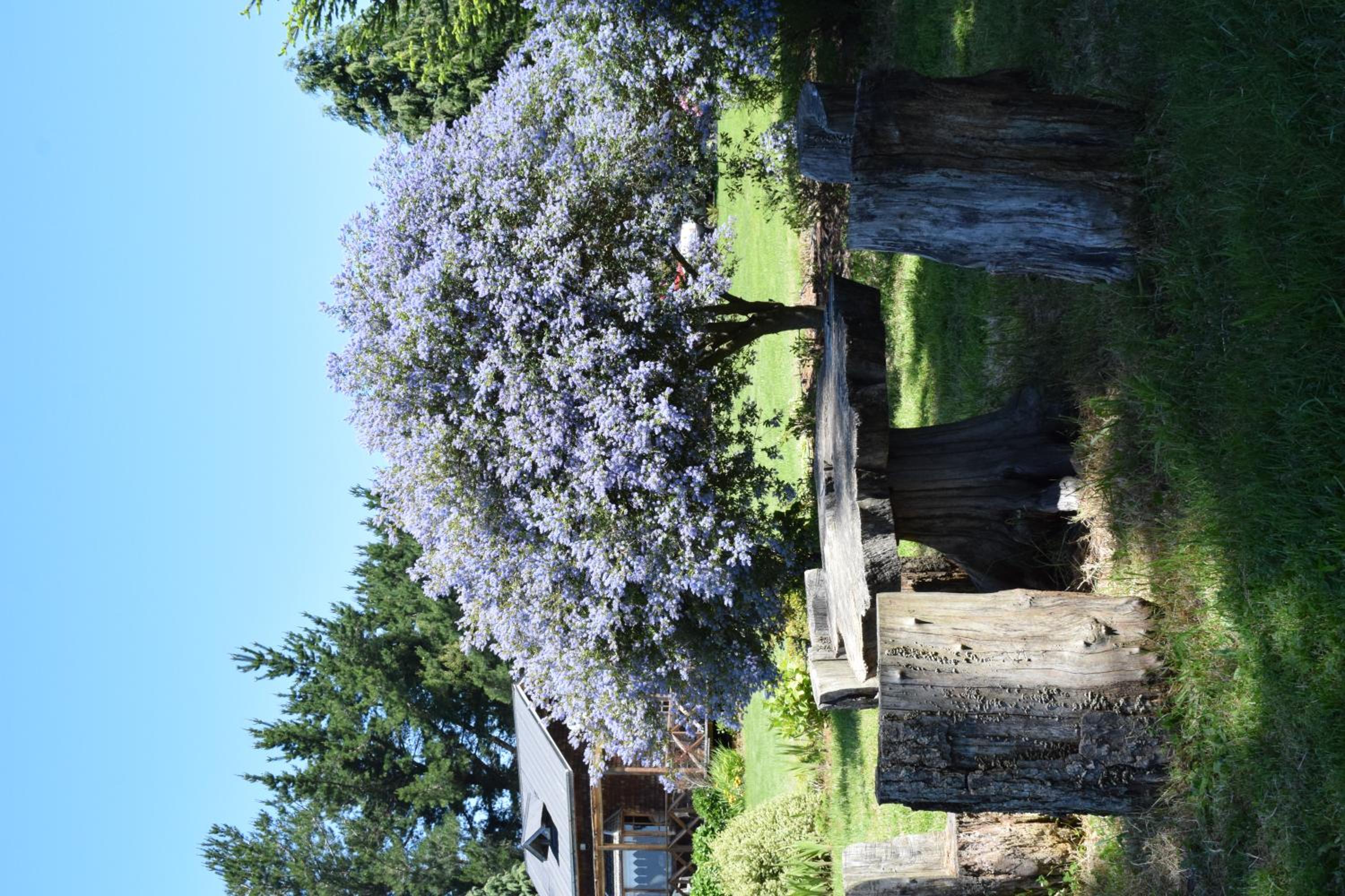Lodge El Sarao A Una Hora De Puerto Varas