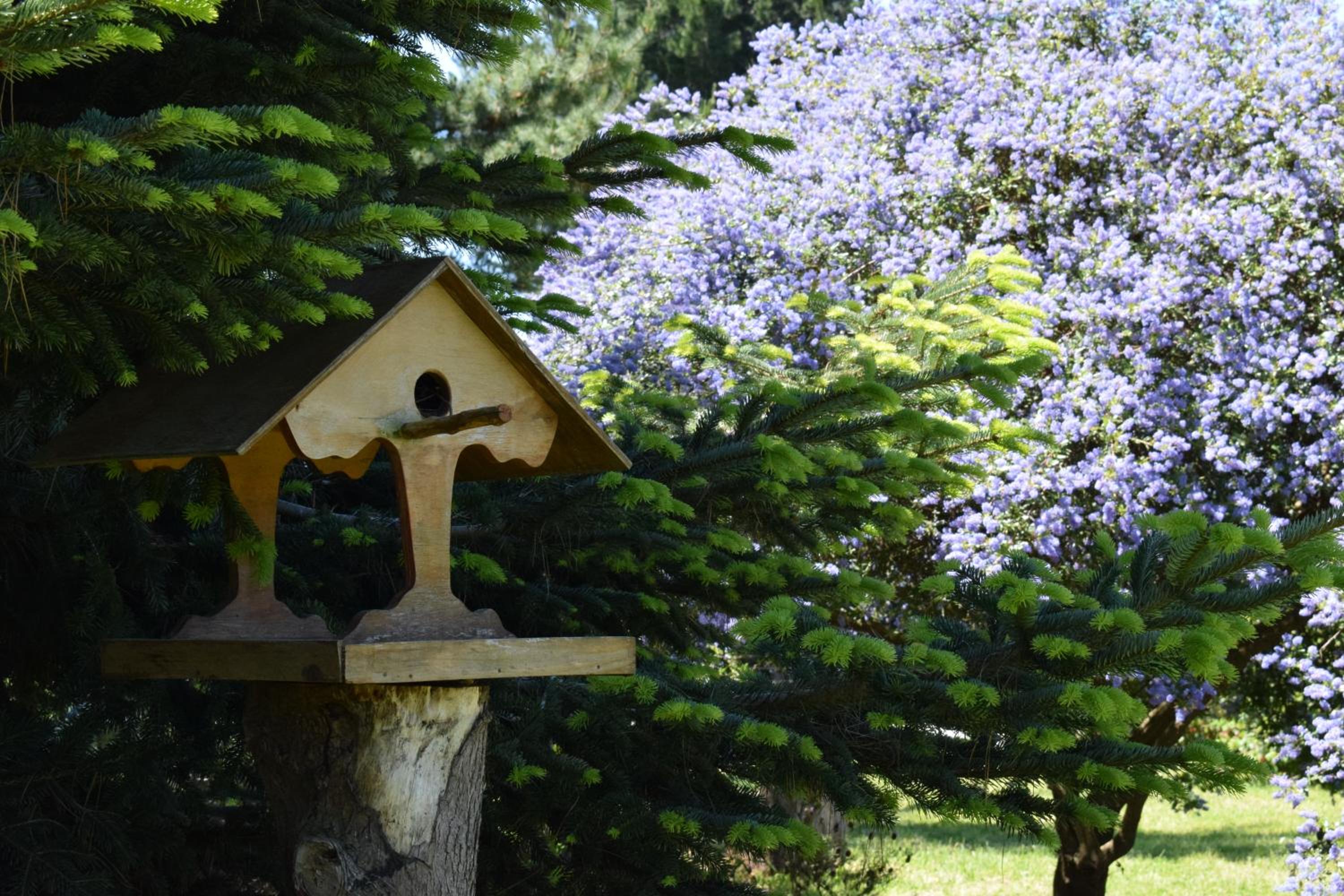 Lodge El Sarao A Una Hora De Puerto Varas