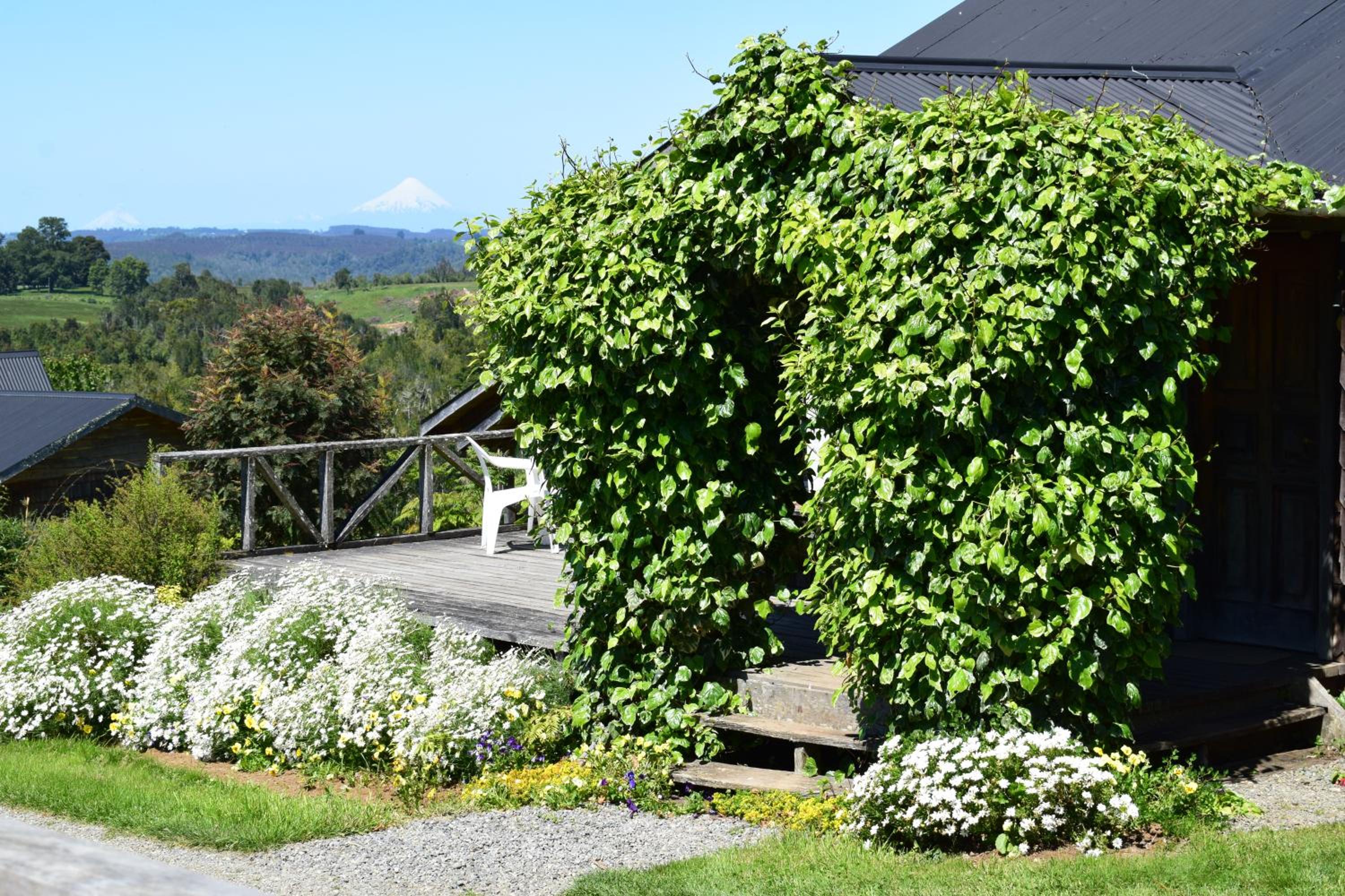 Lodge El Sarao A Una Hora De Puerto Varas