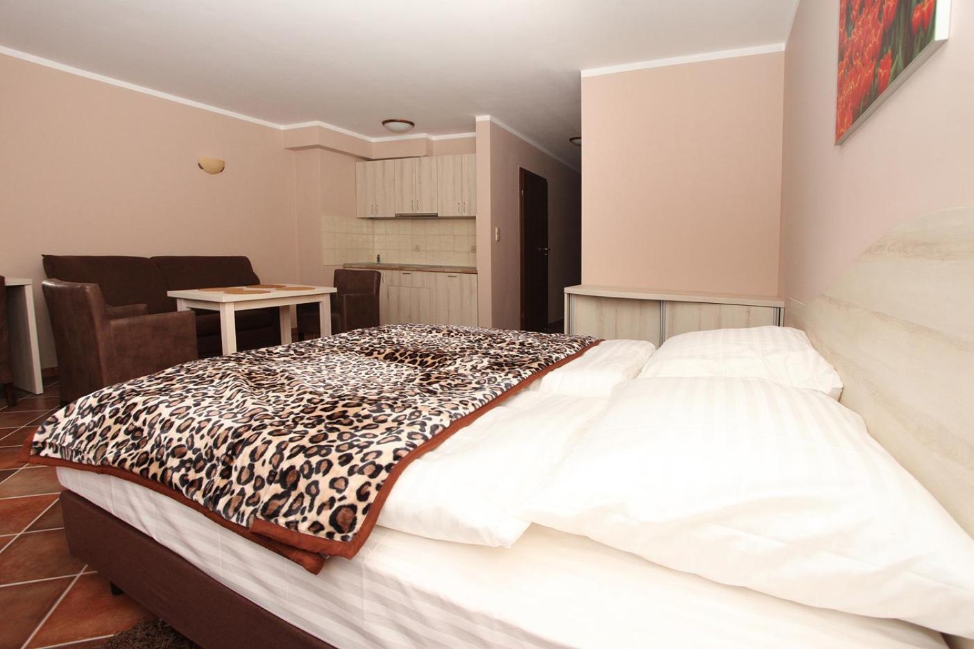 Apartamenty Rok view 3