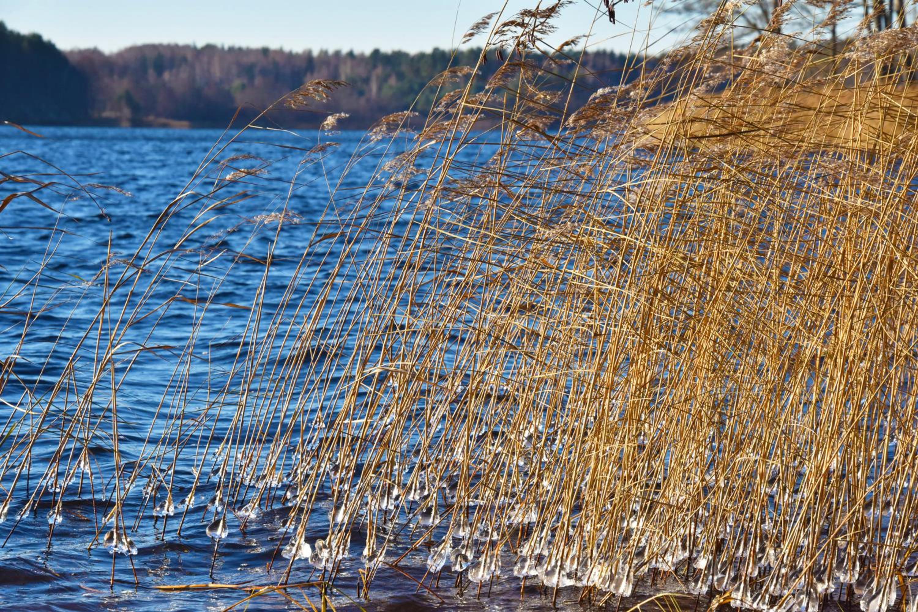 Mekų sodyba view 5