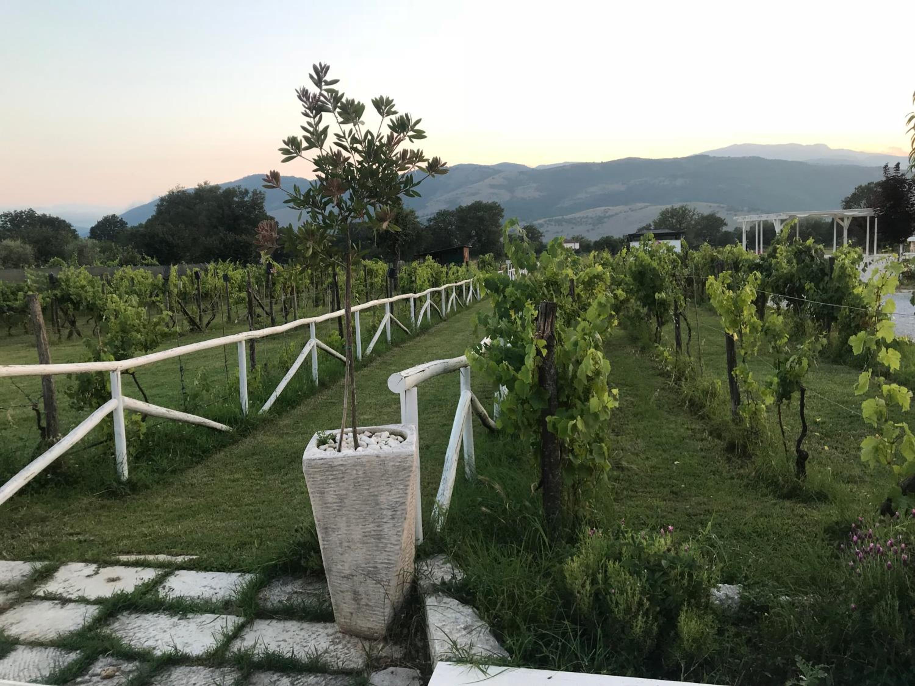Ca' del Conte - Maison de Charme